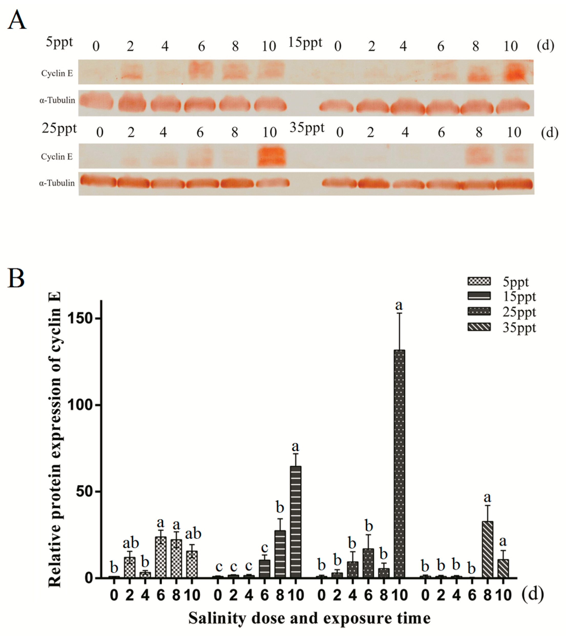Fishes 09 00102 g006