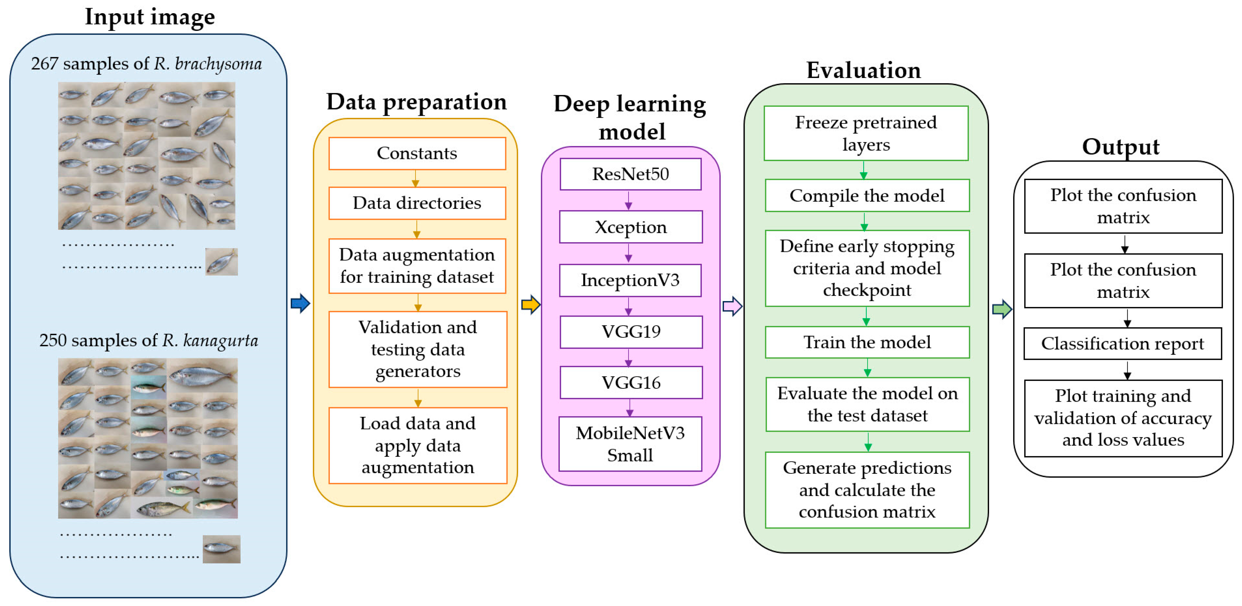Fishes 09 00103 g003