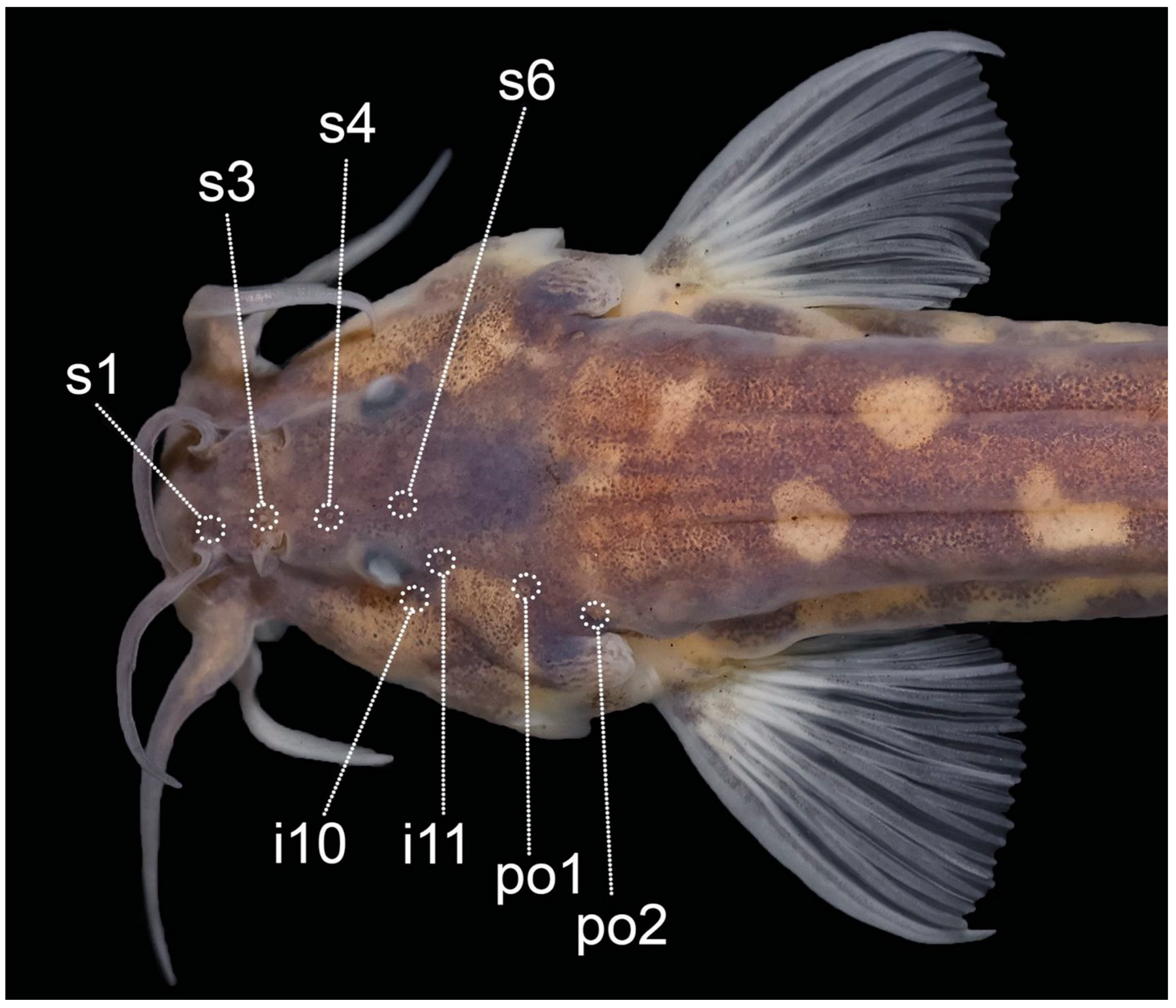 Fishes 09 00116 g002