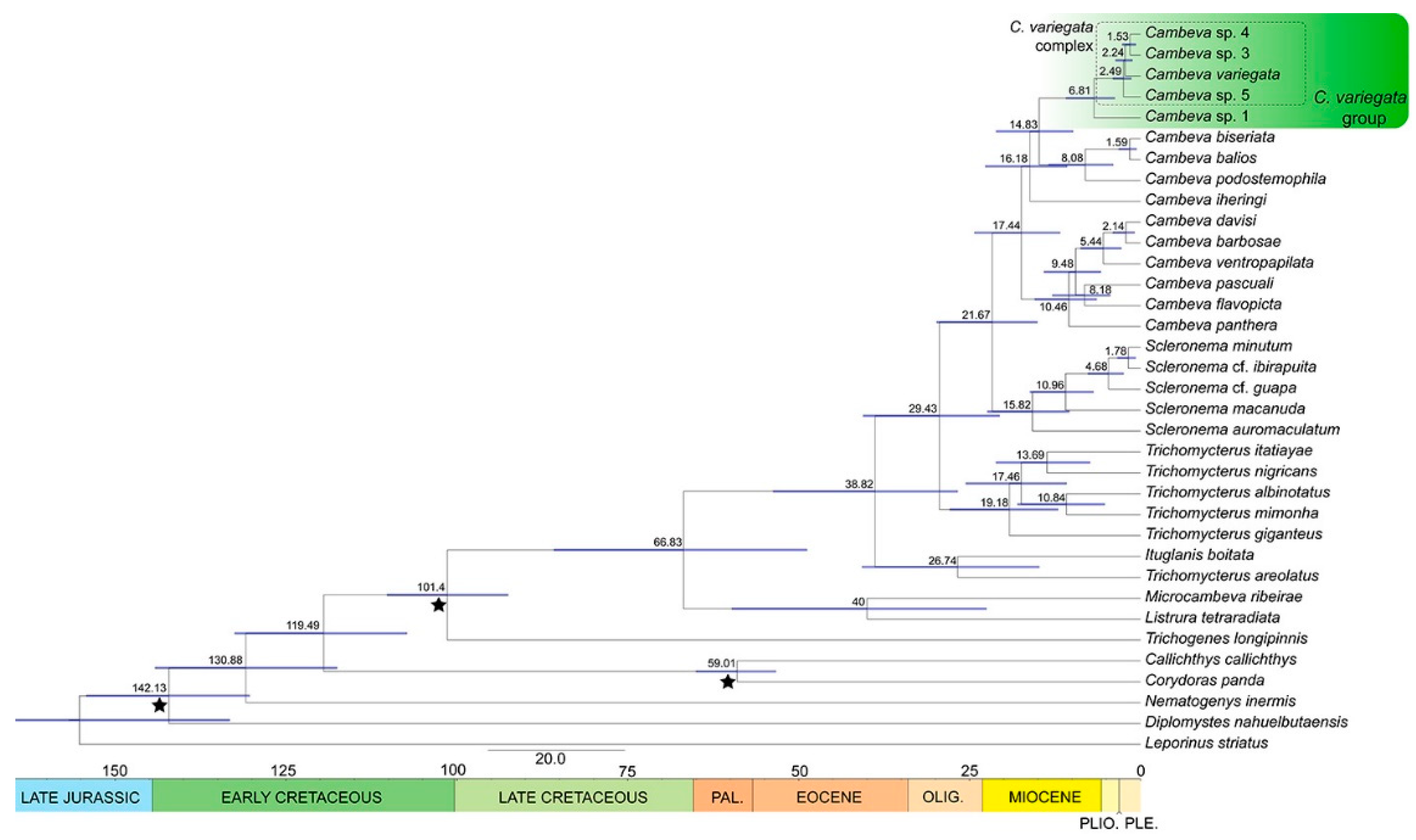 Fishes 09 00116 g009