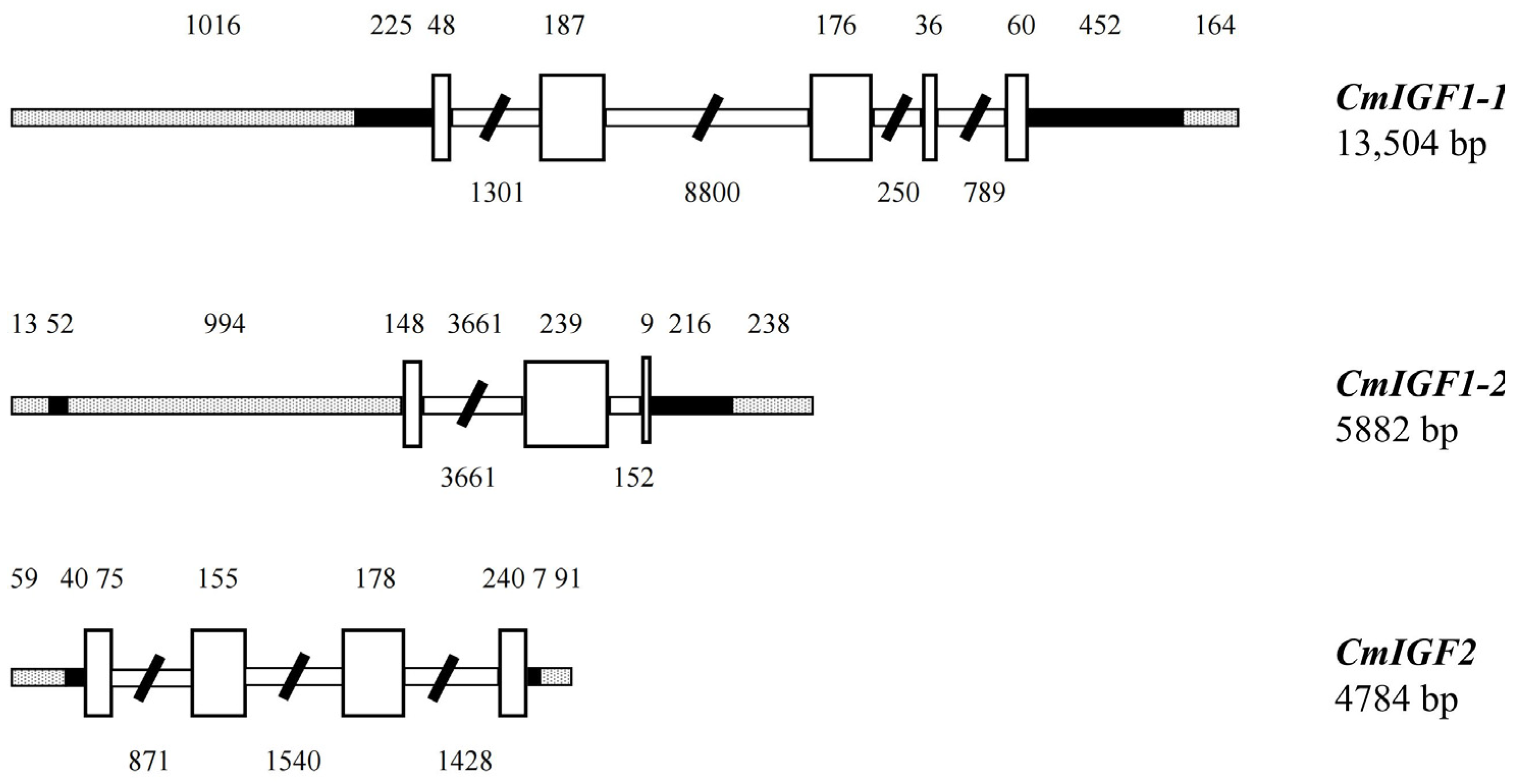 Fishes 09 00120 g001 Fishes 09 00120 g001