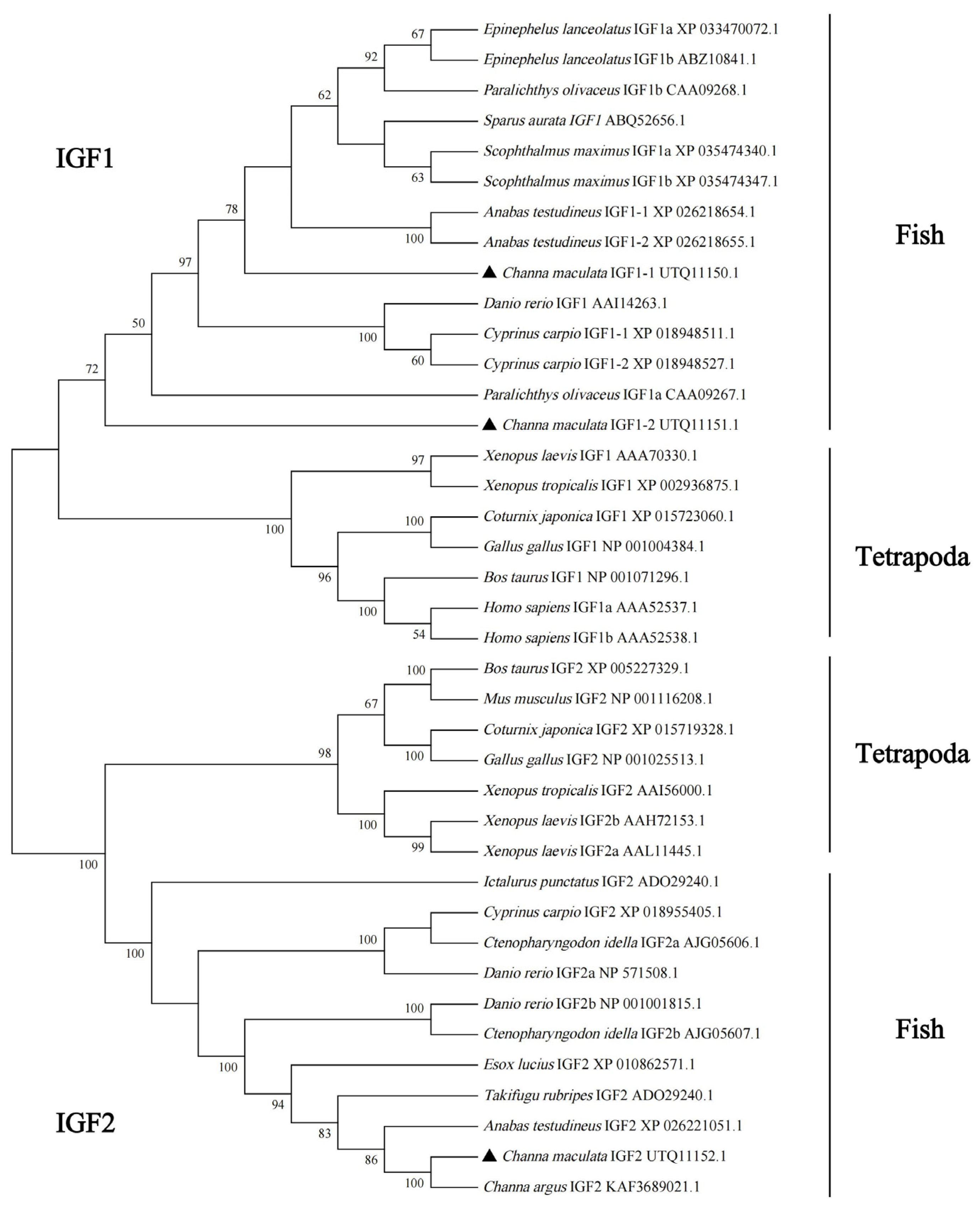 Fishes 09 00120 g002 Fishes 09 00120 g002