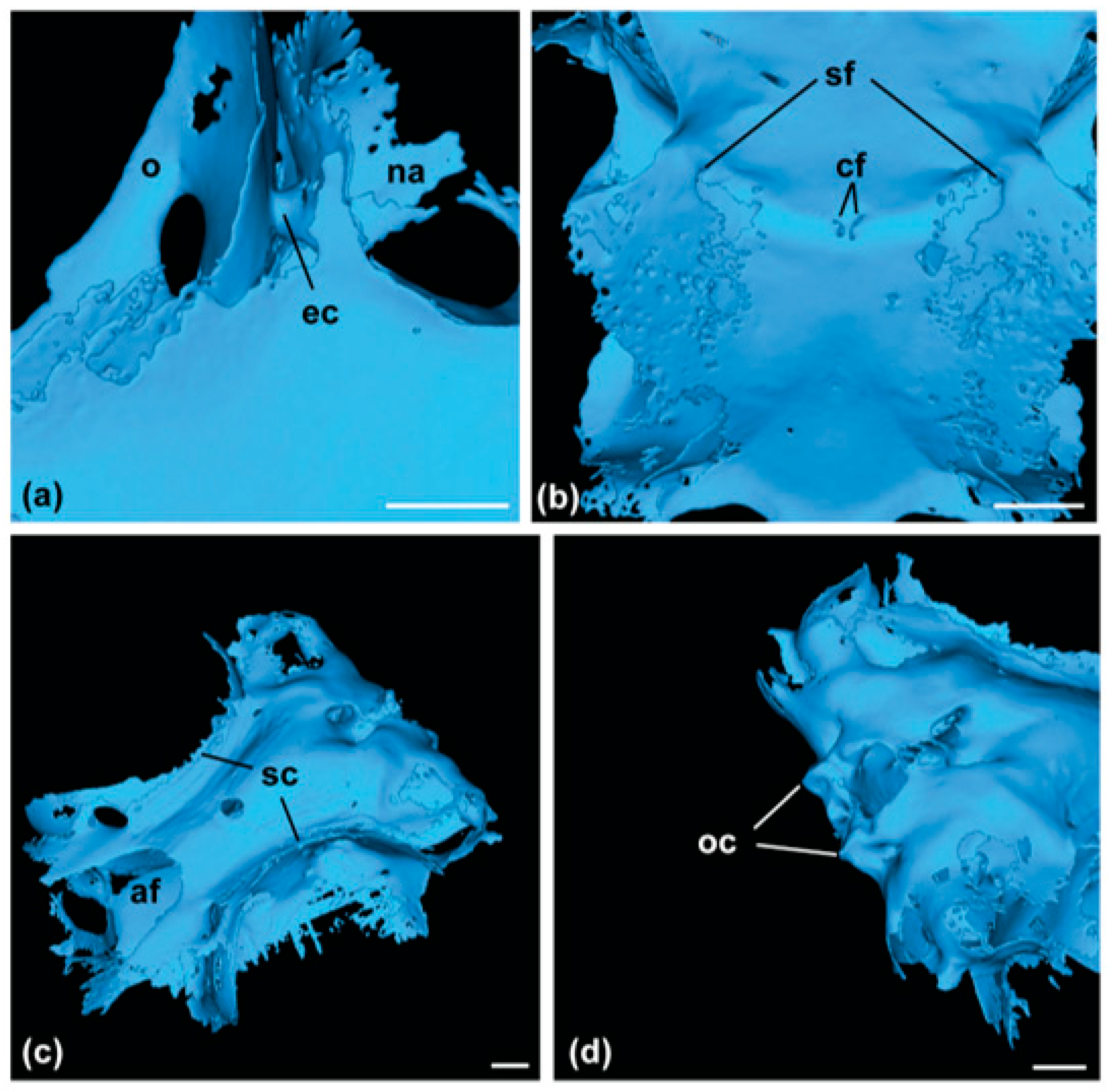 Fishes 09 00121 g003