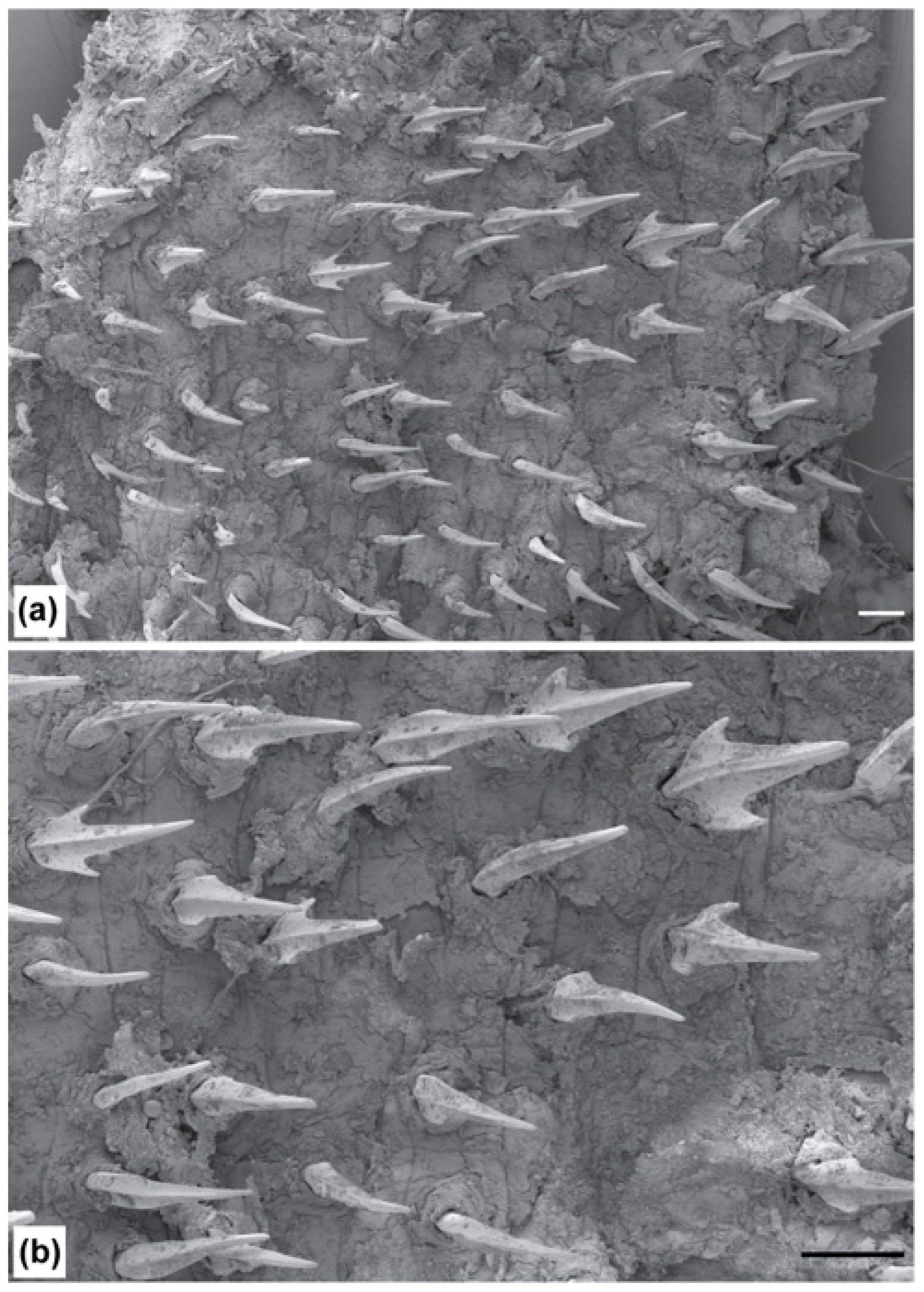 Fishes 09 00121 g008