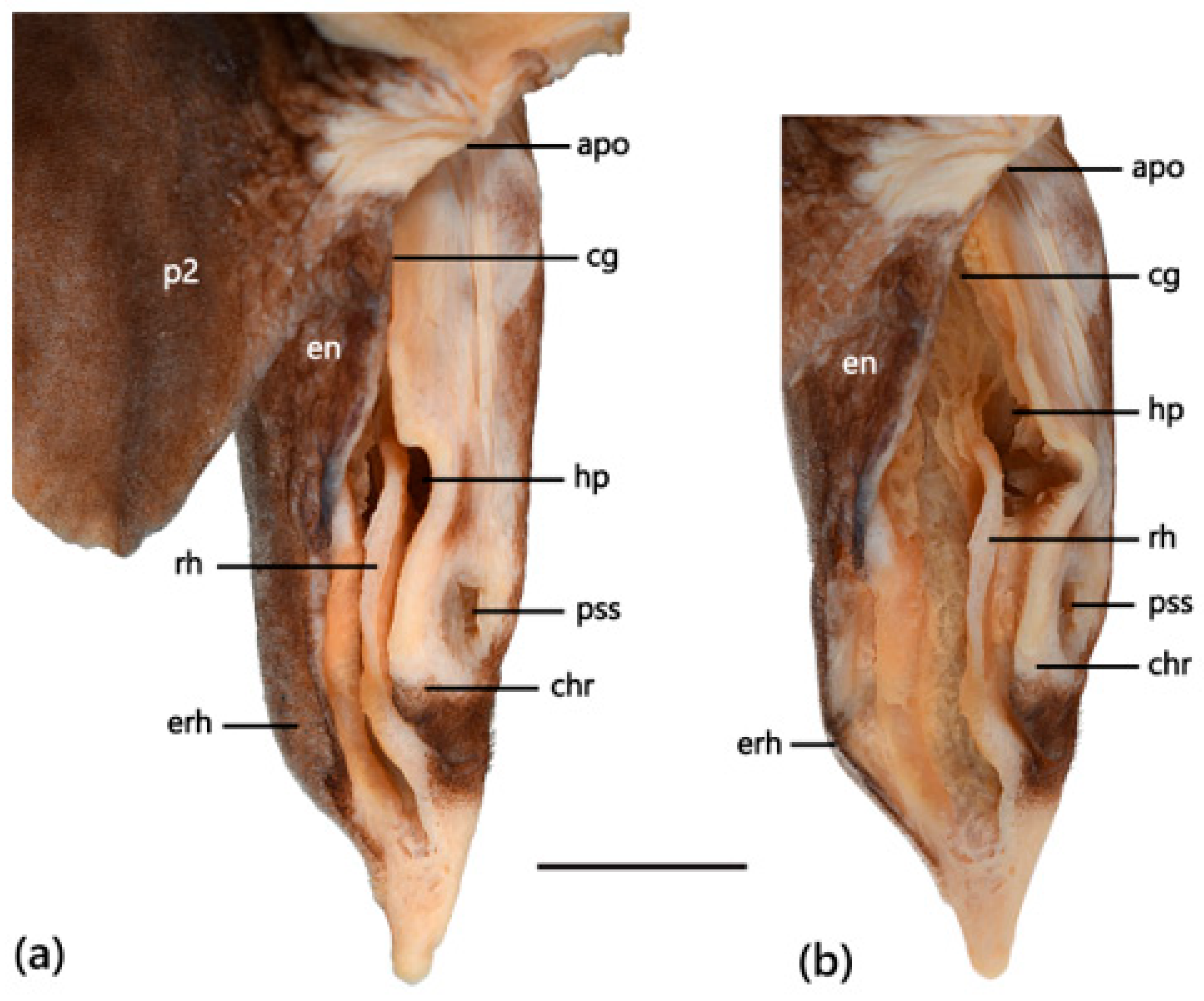 Fishes 09 00121 g017