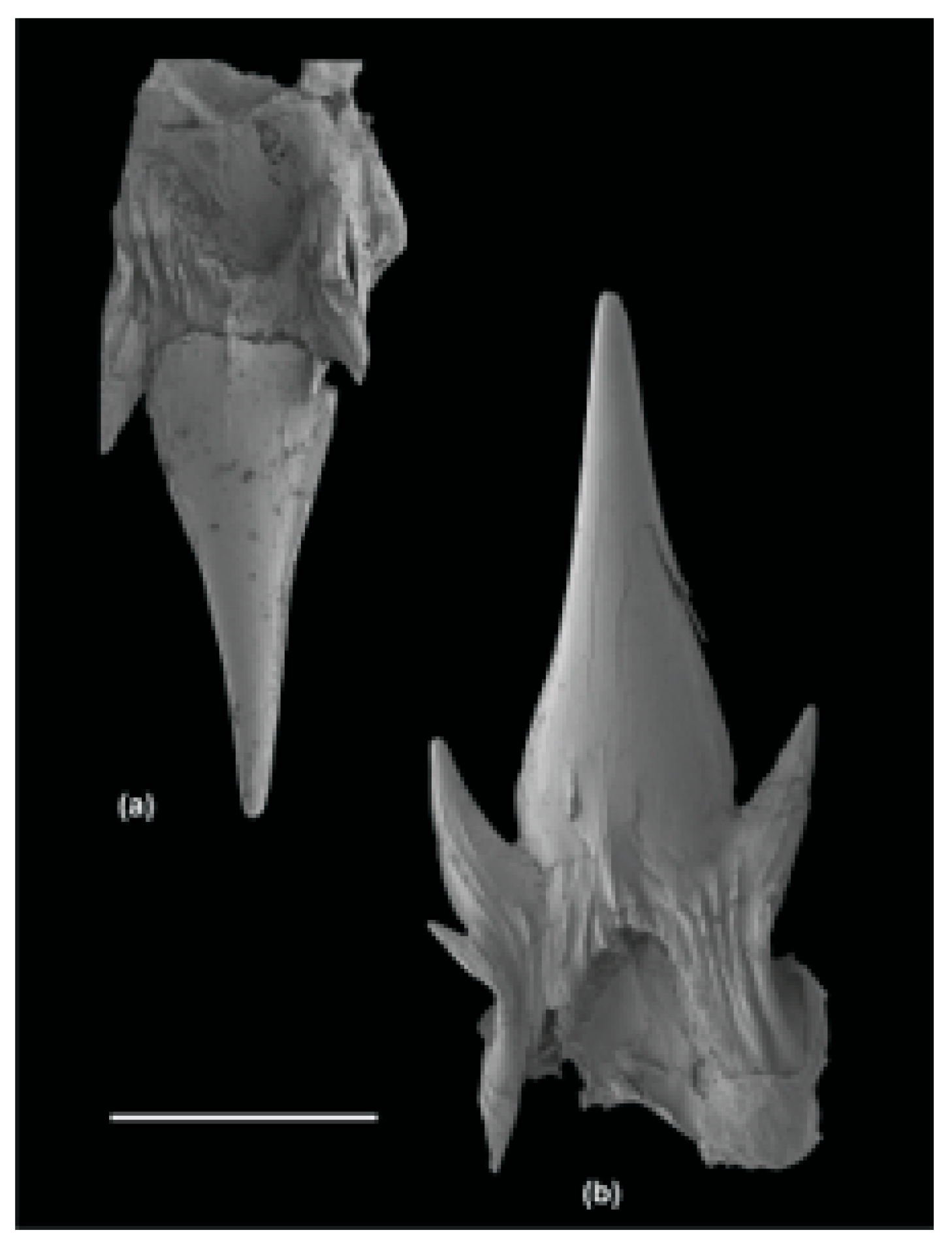 Fishes 09 00121 g018