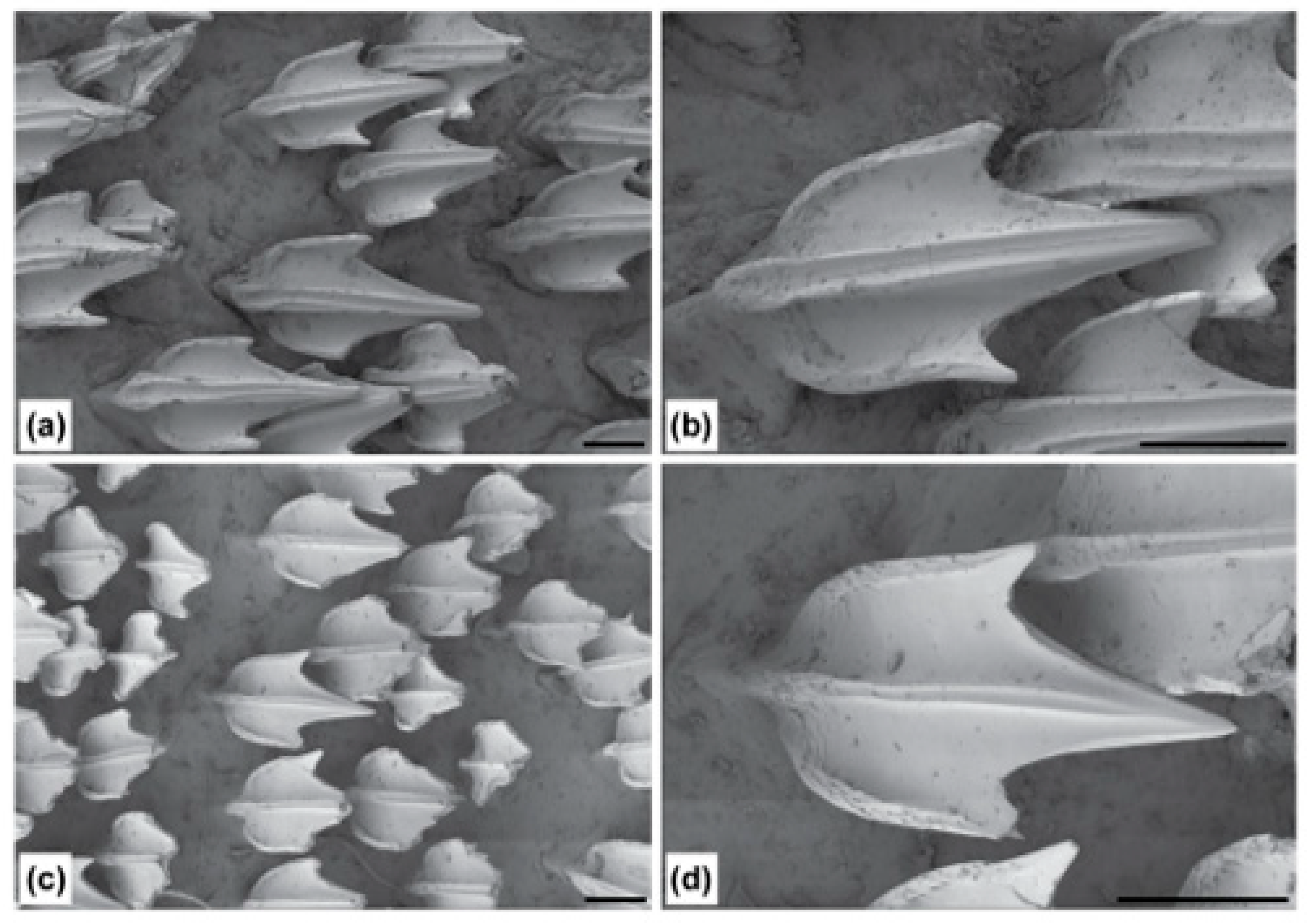 Fishes 09 00121 g019