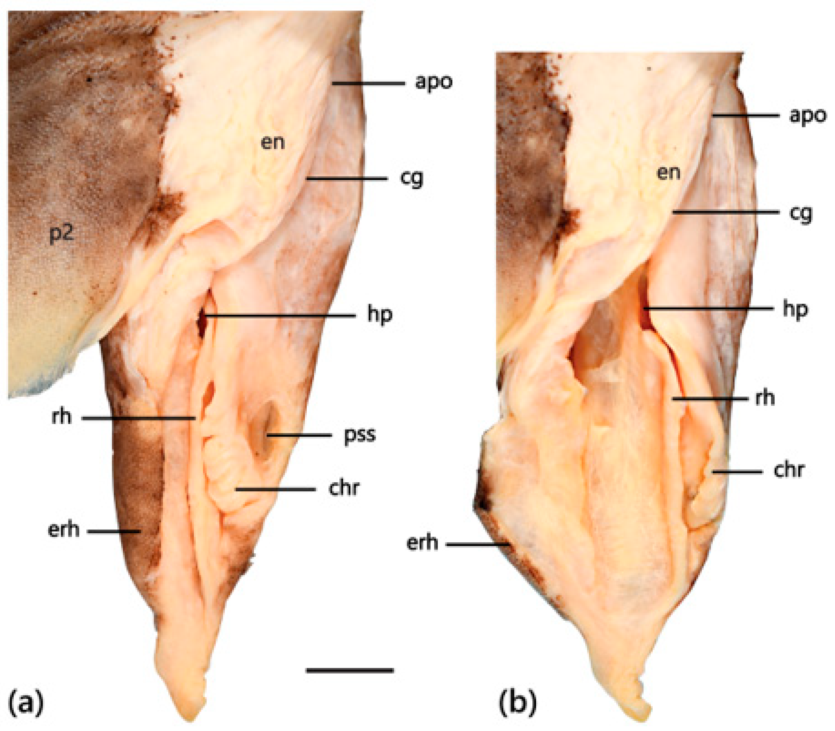 Fishes 09 00121 g025