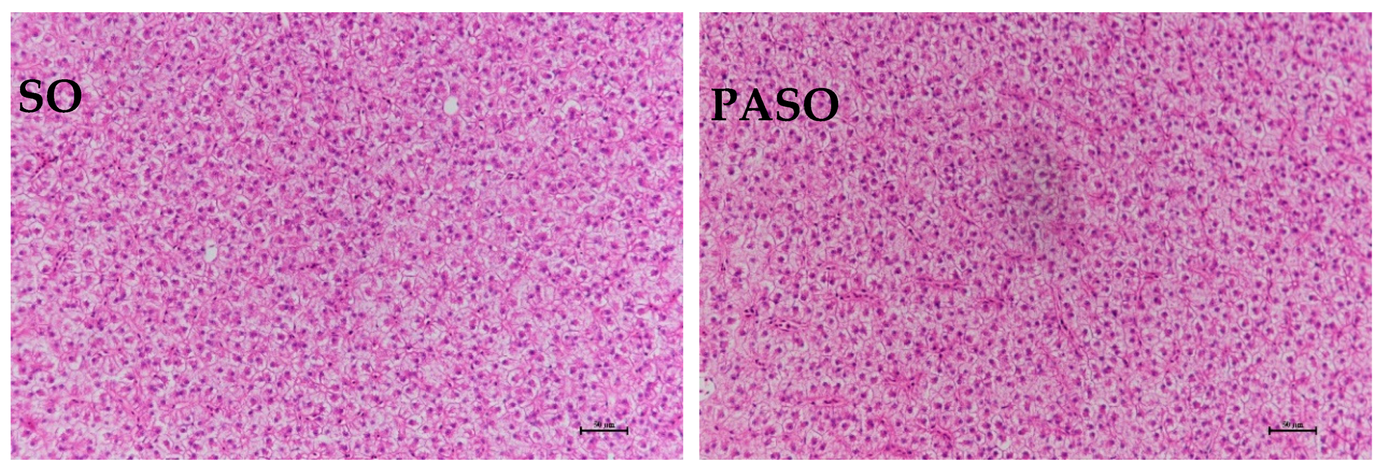 Fishes 09 00123 g001a Fishes 09 00123 g001a