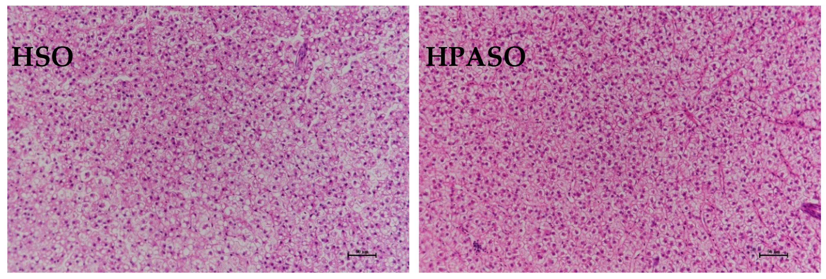 Fishes 09 00123 g001b Fishes 09 00123 g001b