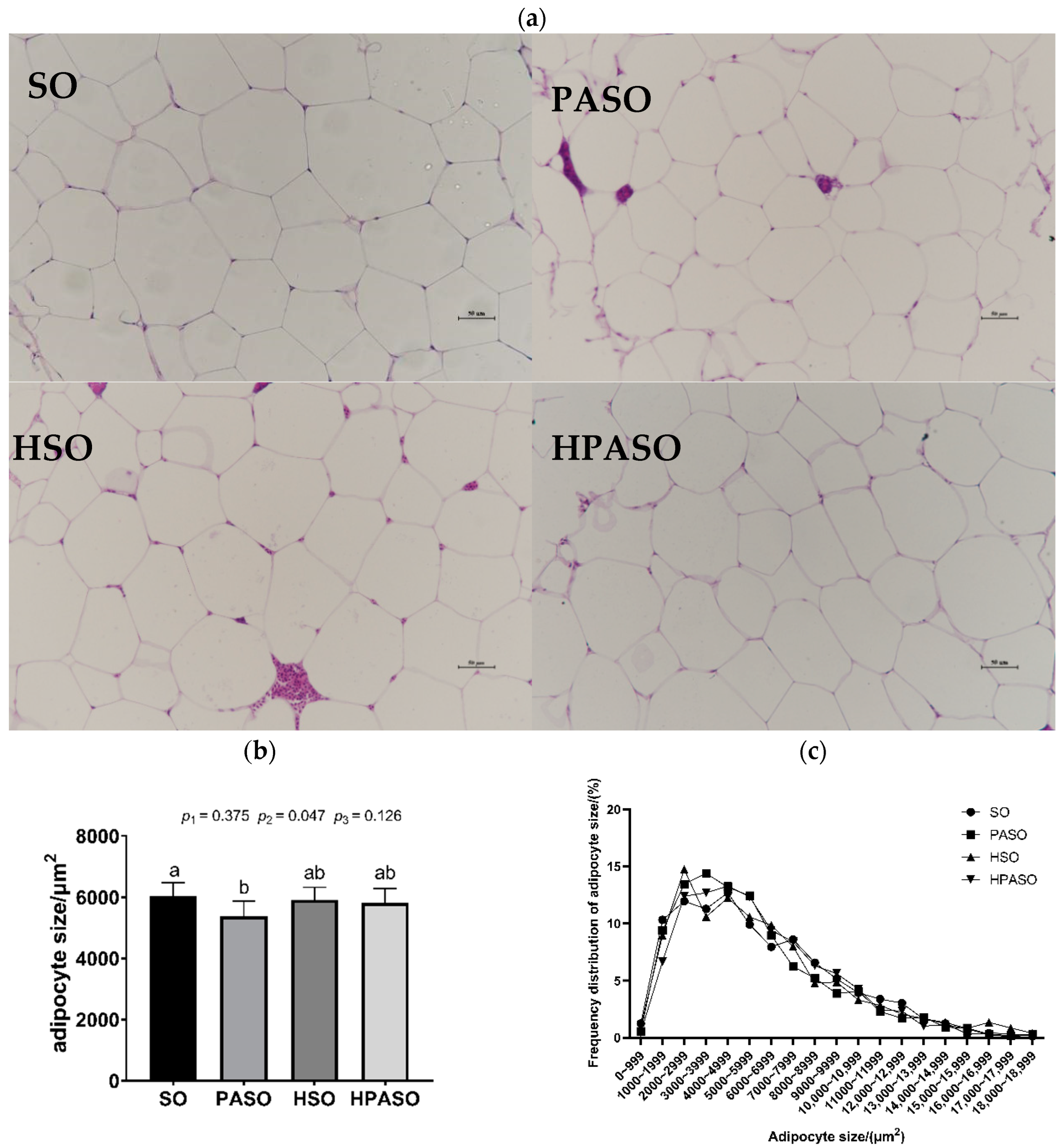 Fishes 09 00123 g002 Fishes 09 00123 g002