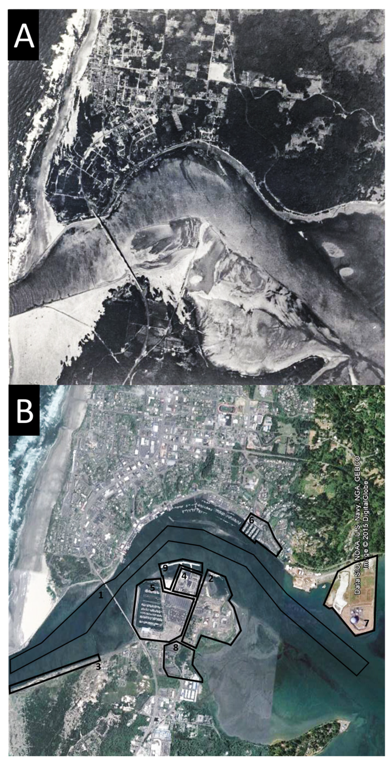 Fishes 09 00125 g002 Fishes 09 00125 g002