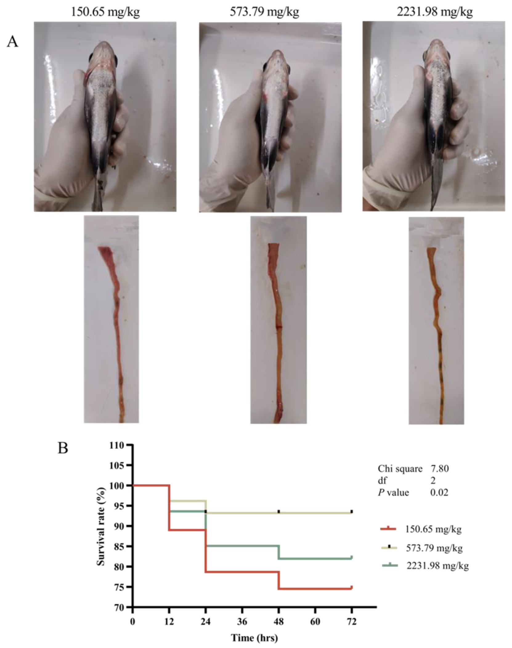 Fishes 09 00129 g005
