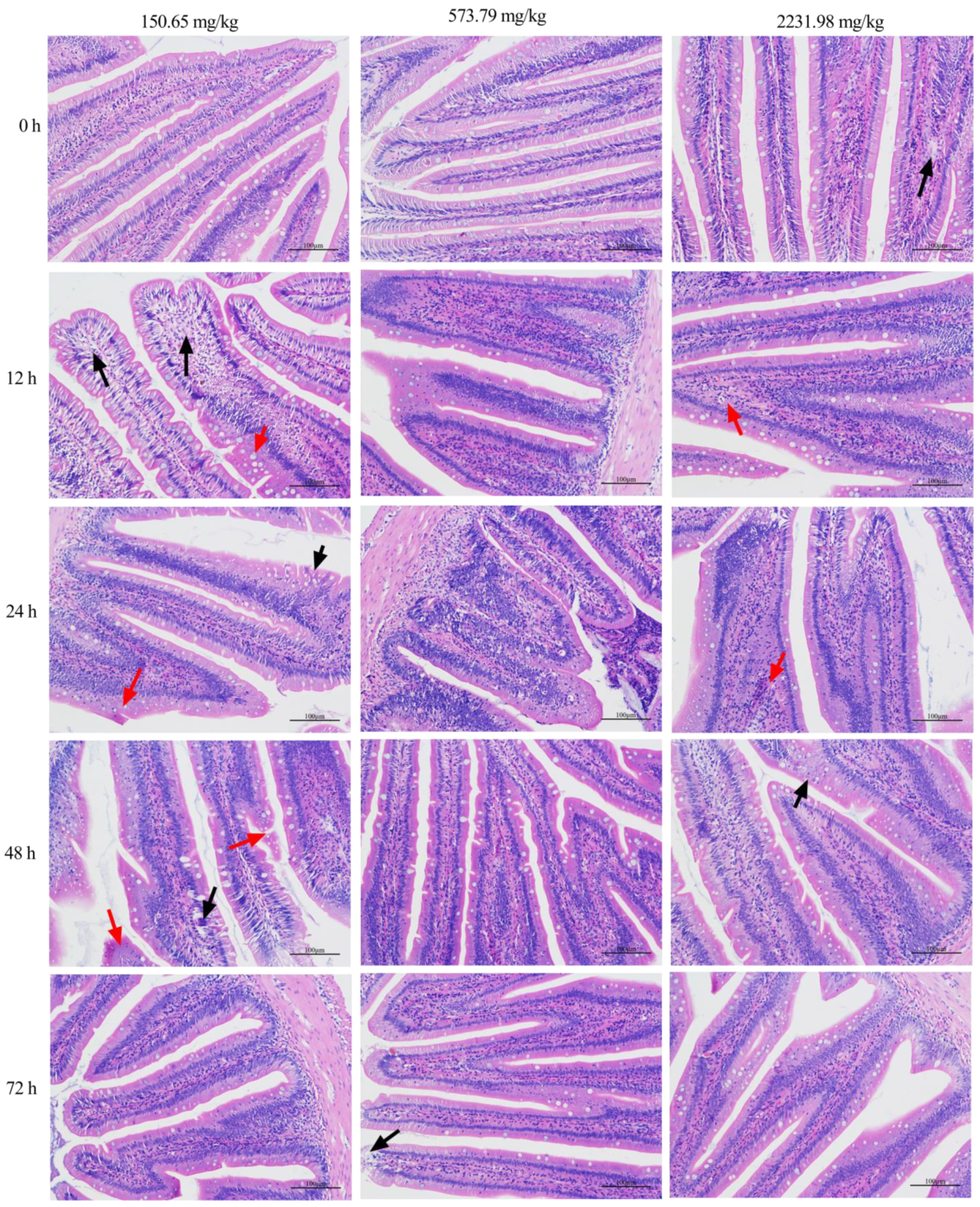 Fishes 09 00129 g006