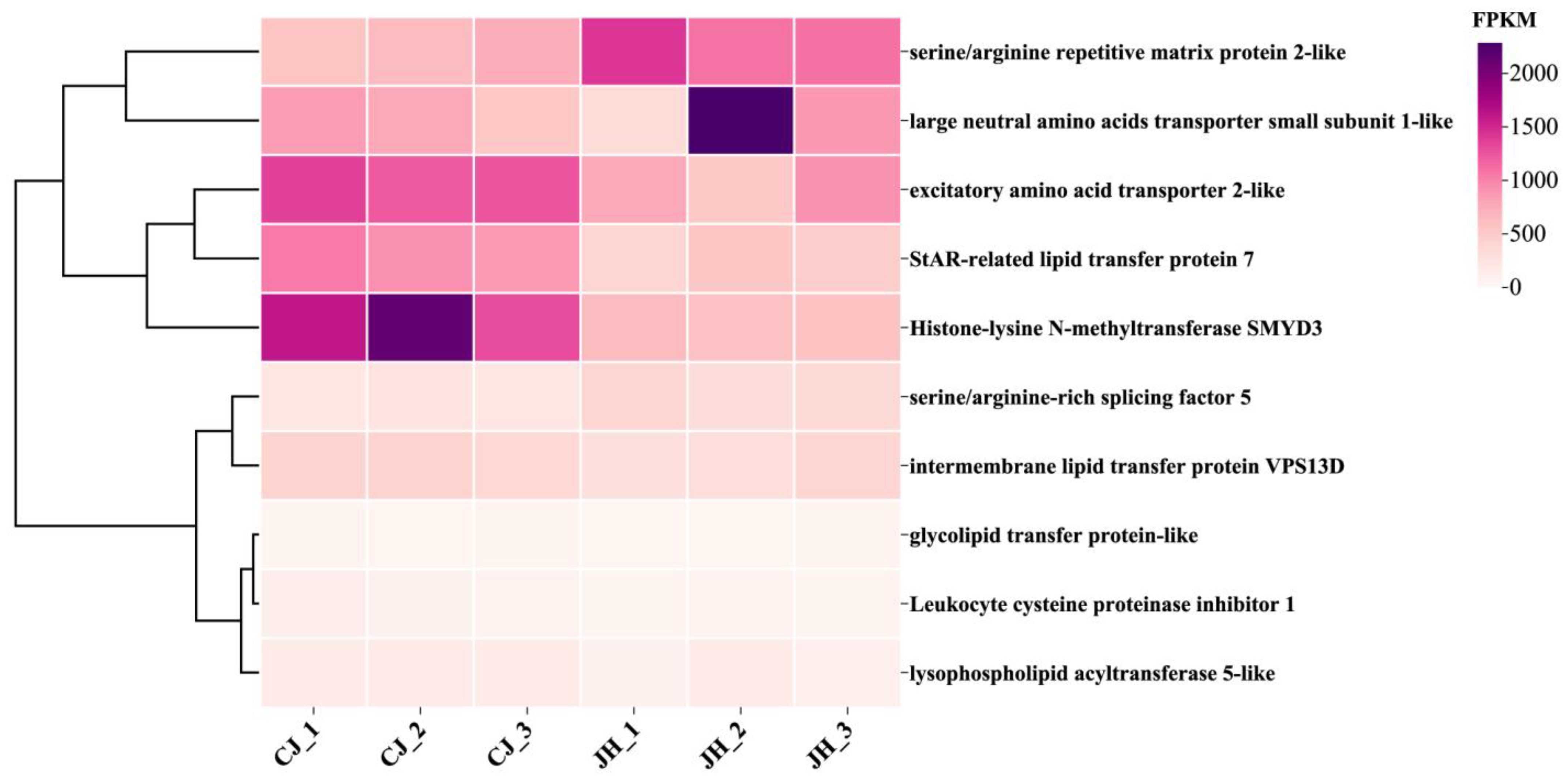 Fishes 09 00132 g008