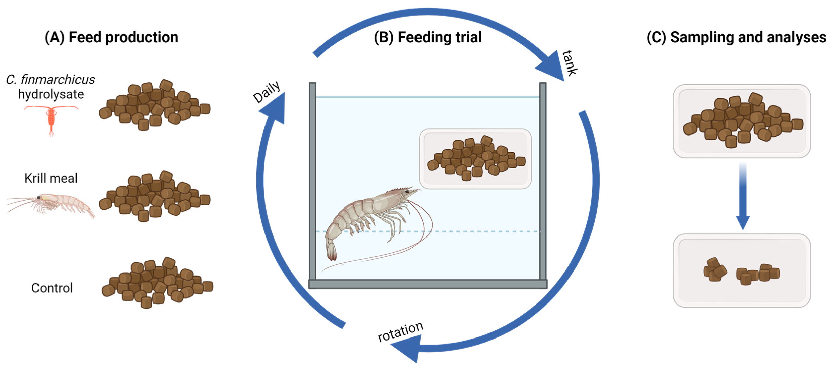 Fishes 09 00134 g001