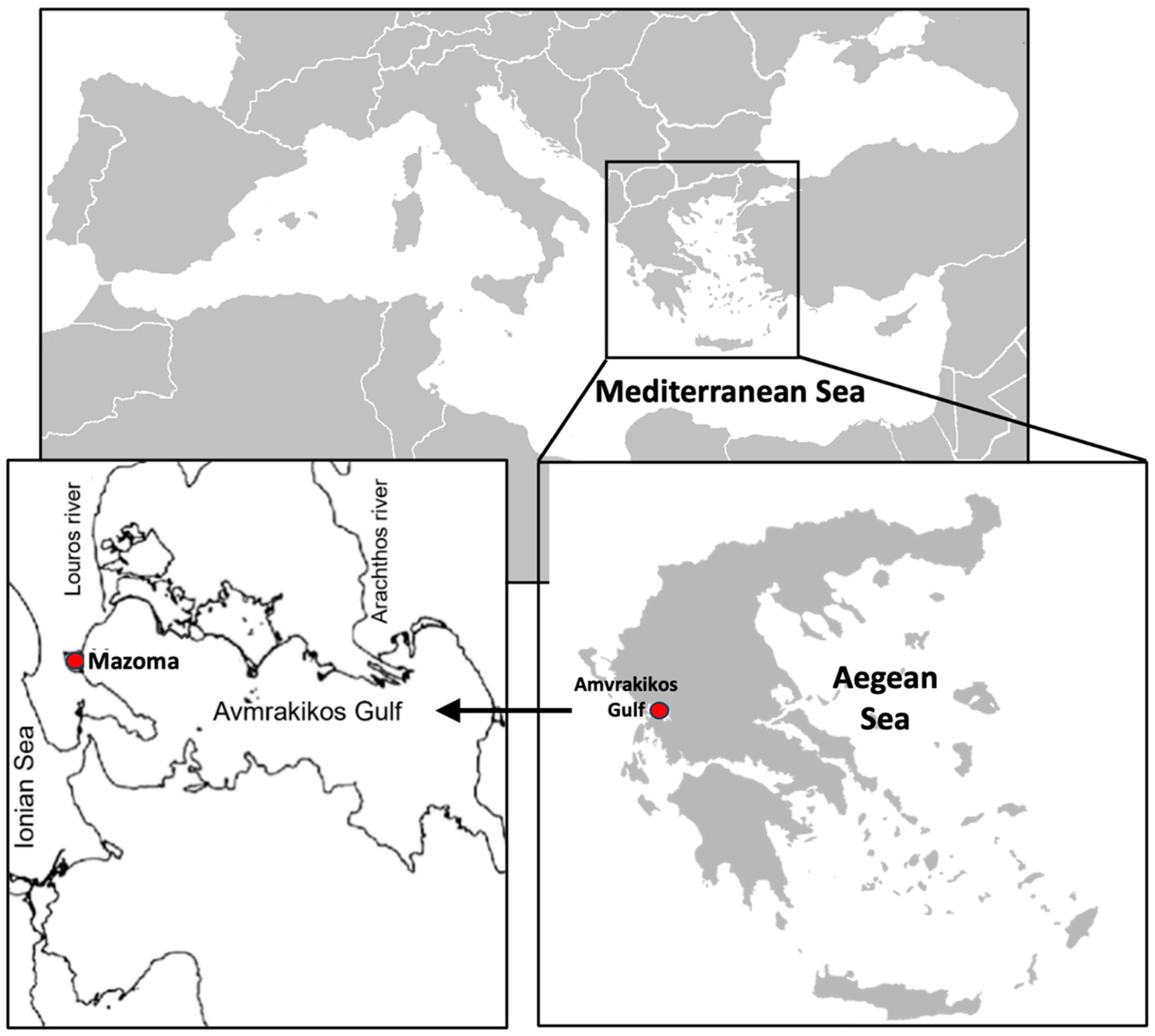 Fishes 09 00135 g001