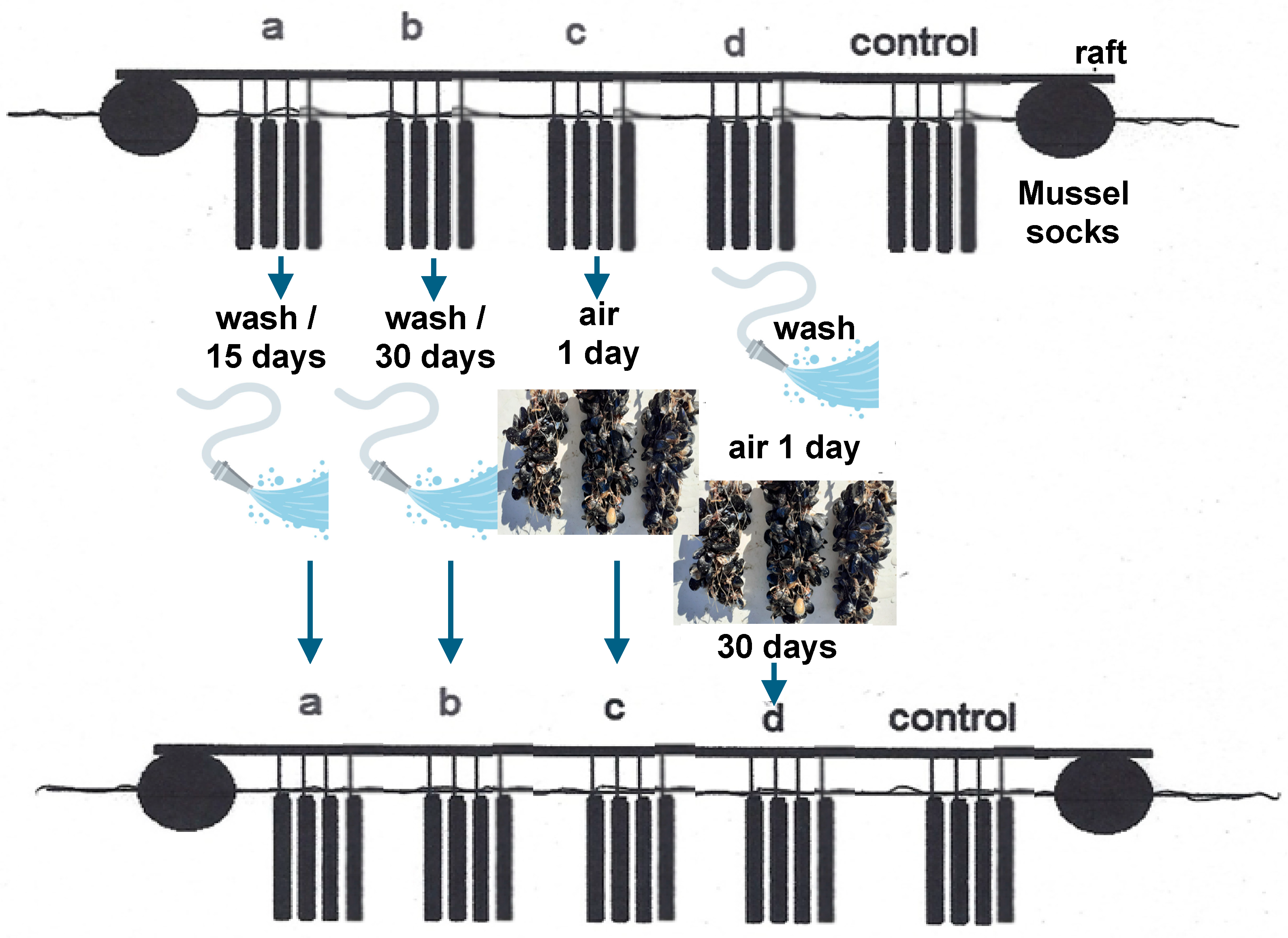 Fishes 09 00135 g003