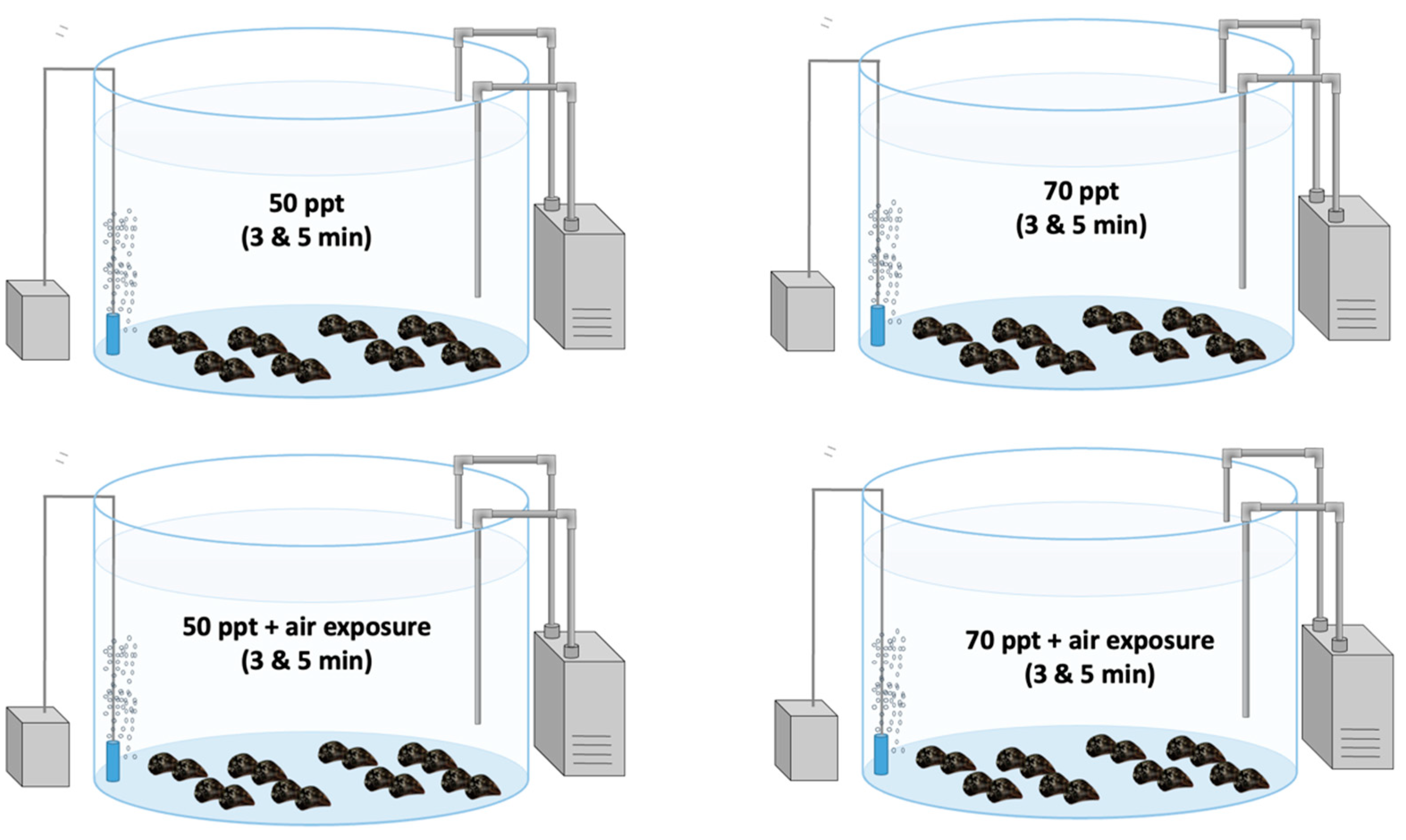 Fishes 09 00135 g004