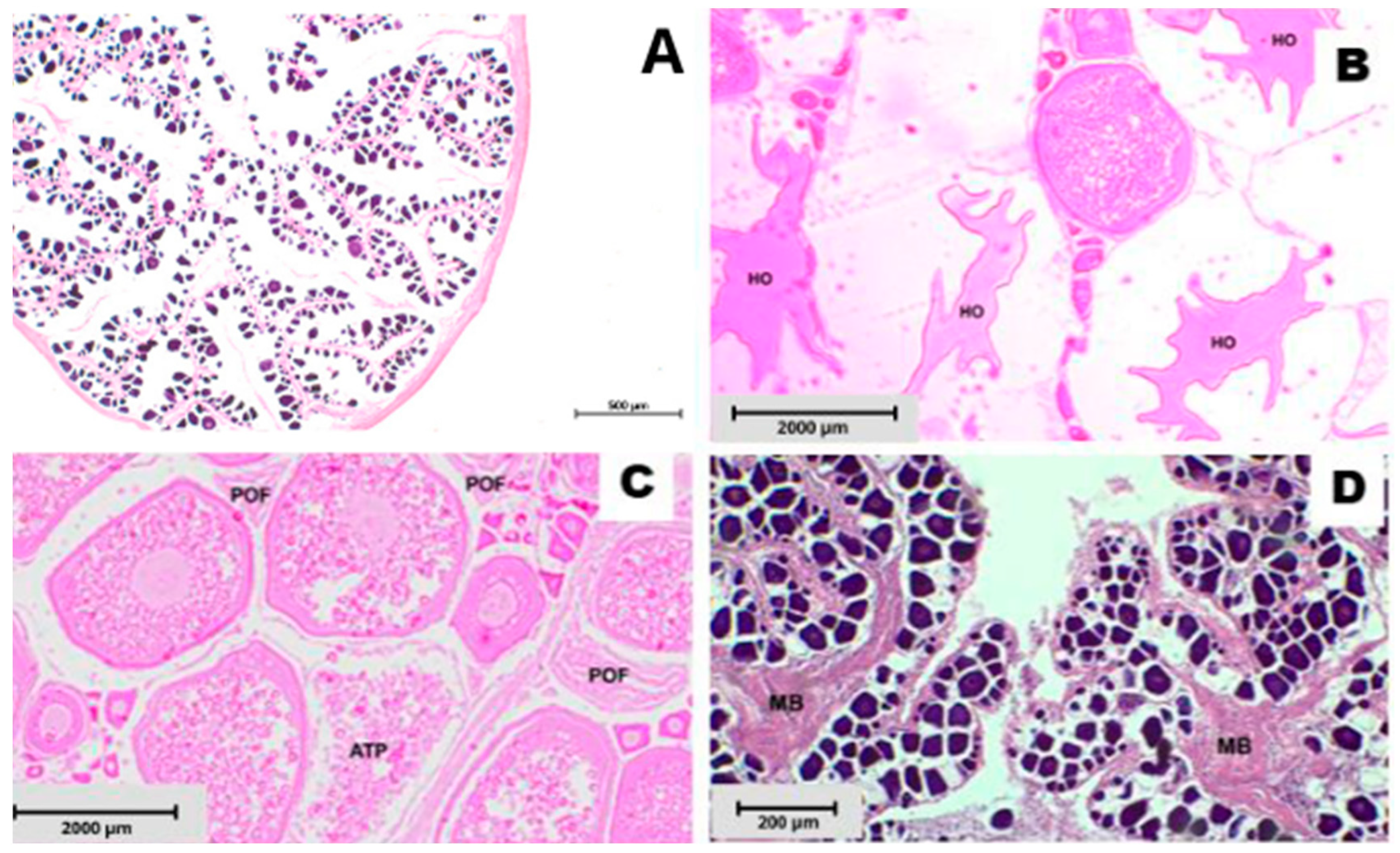 Fishes 09 00136 g002