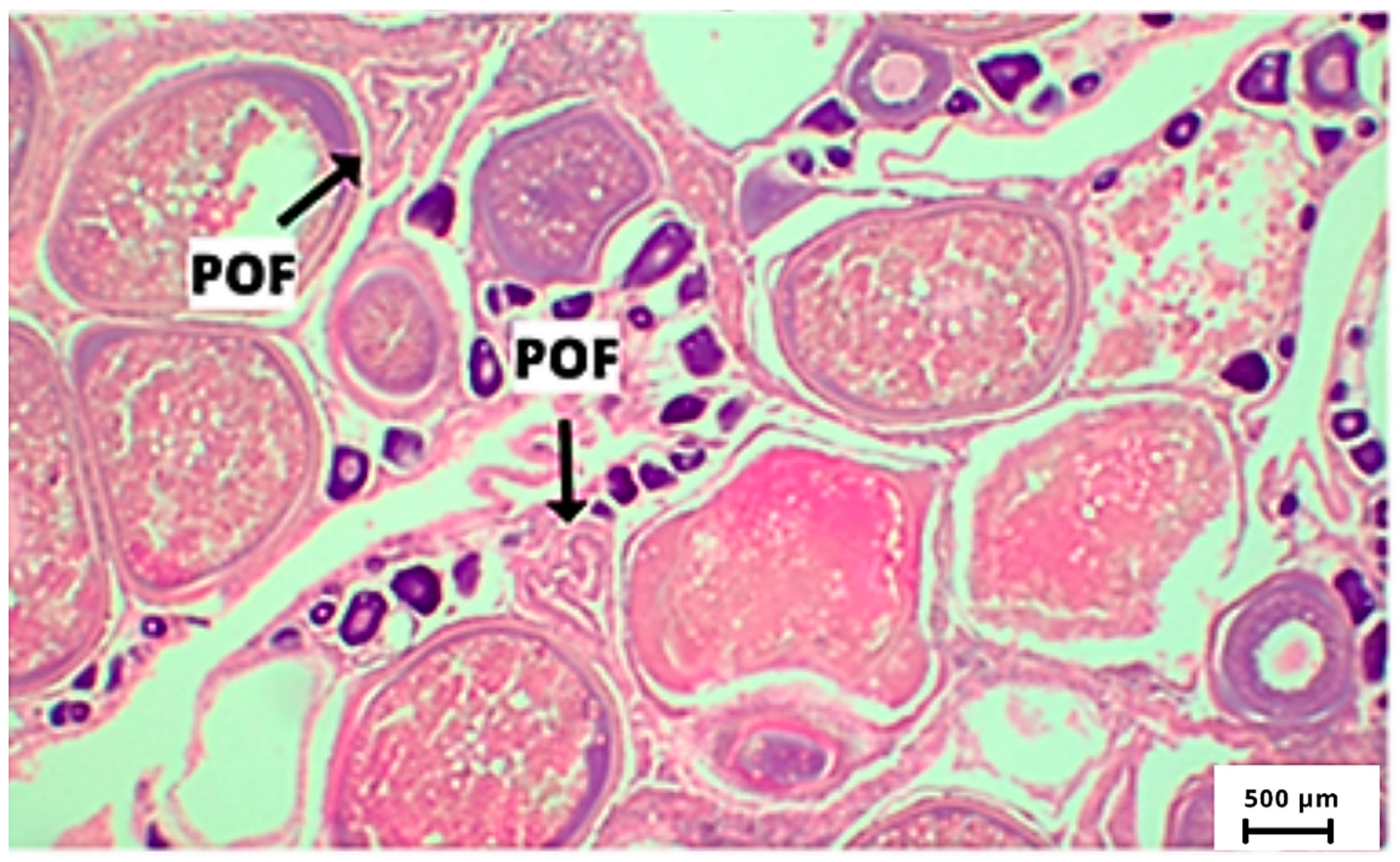 Fishes 09 00136 g003