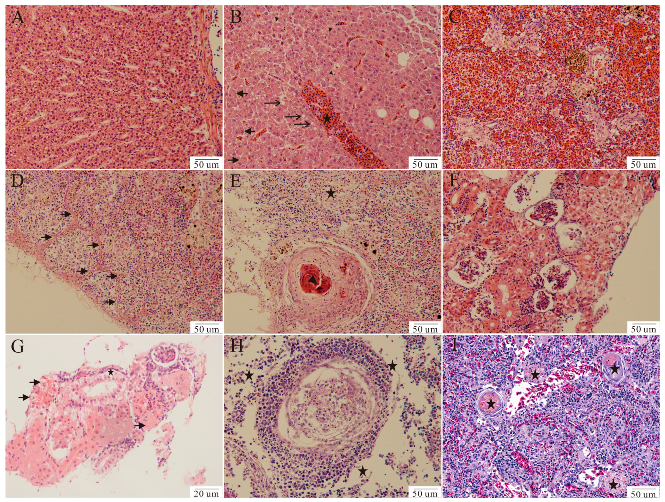 Fishes 09 00140 g002