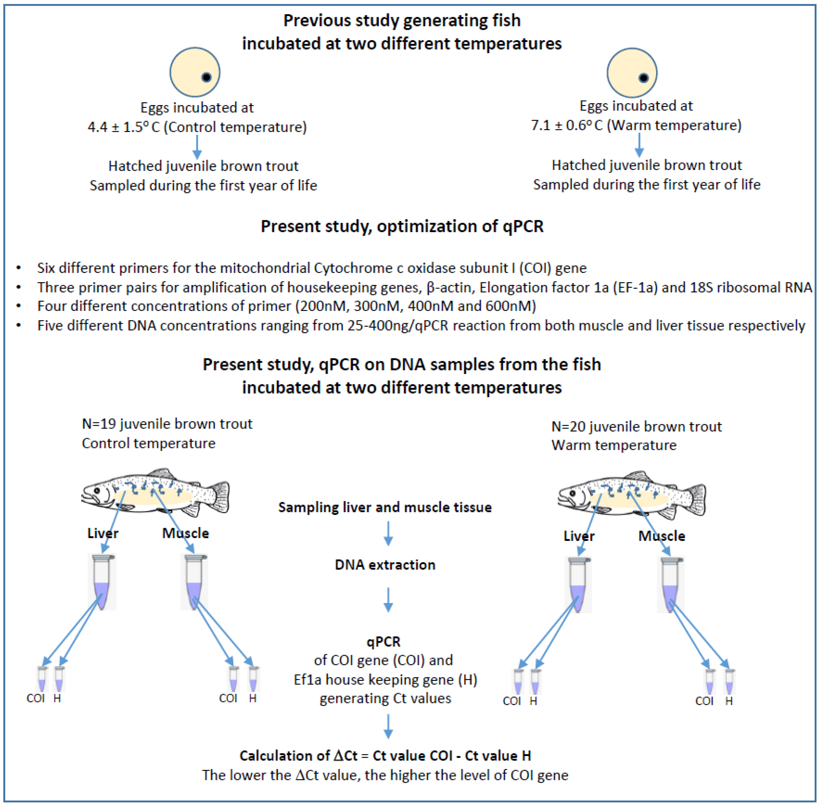 Fishes 09 00142 g002 Fishes 09 00142 g002