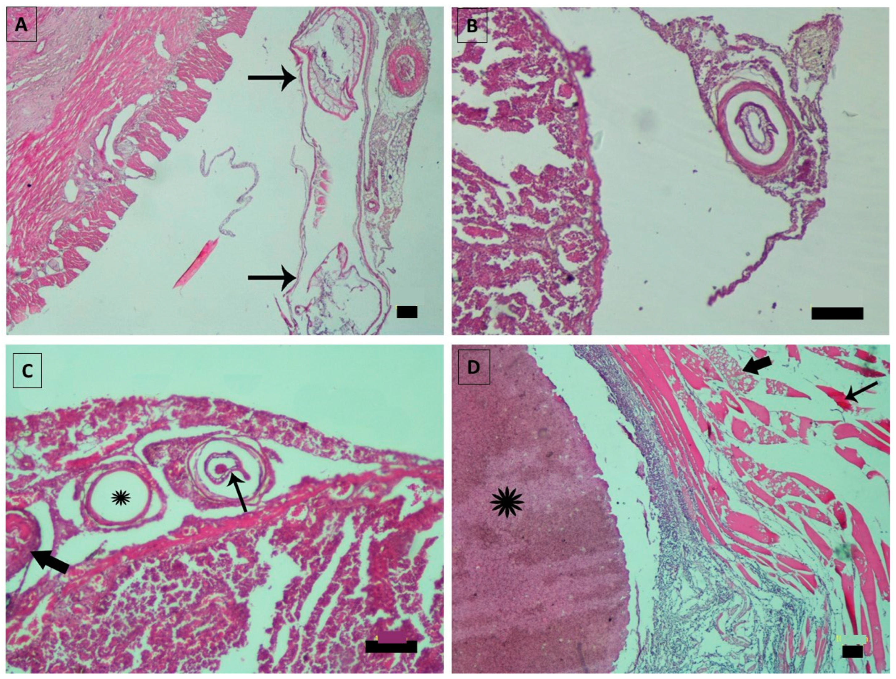 Fishes 09 00143 g005