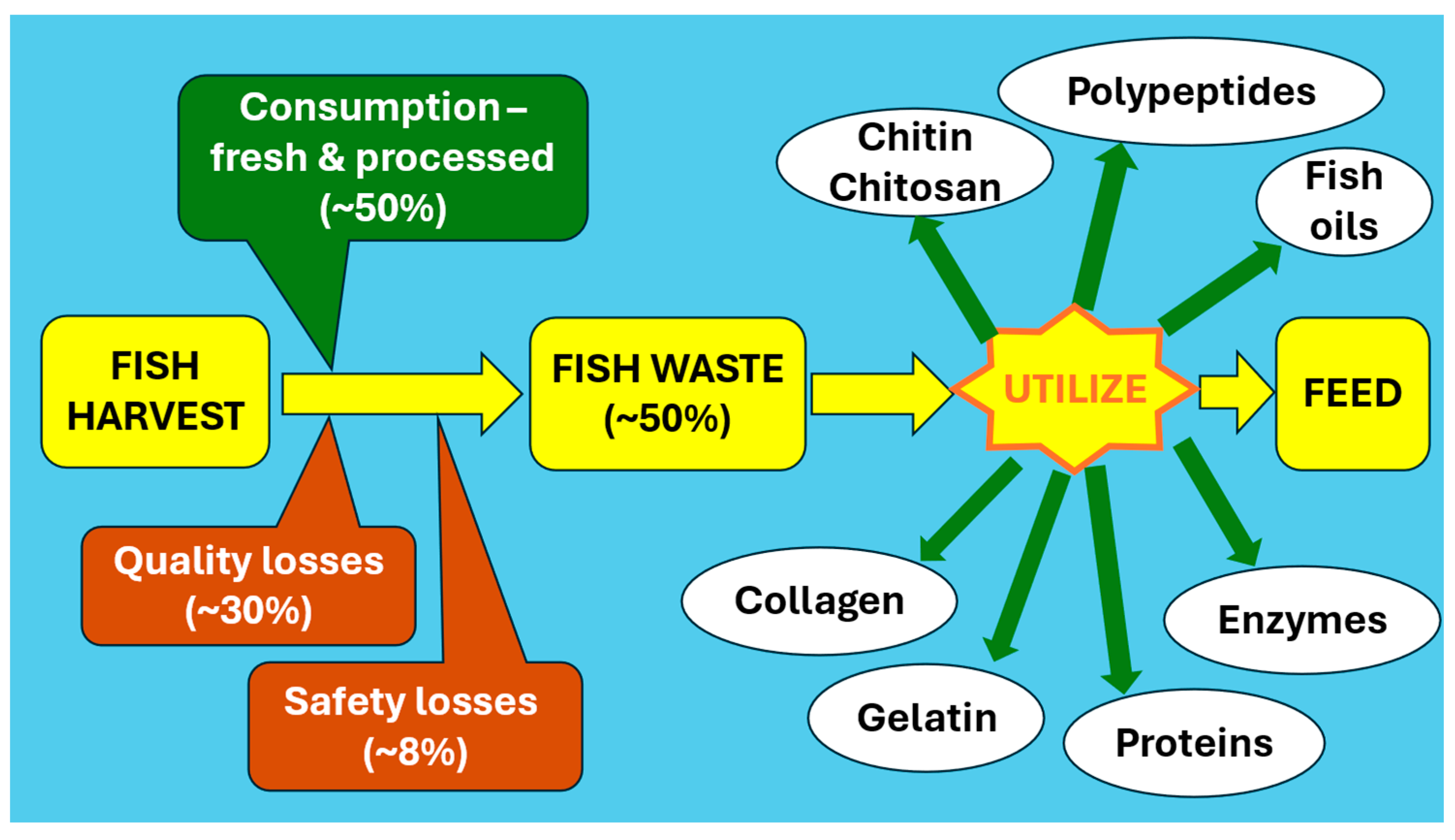 Fishes 09 00146 g001