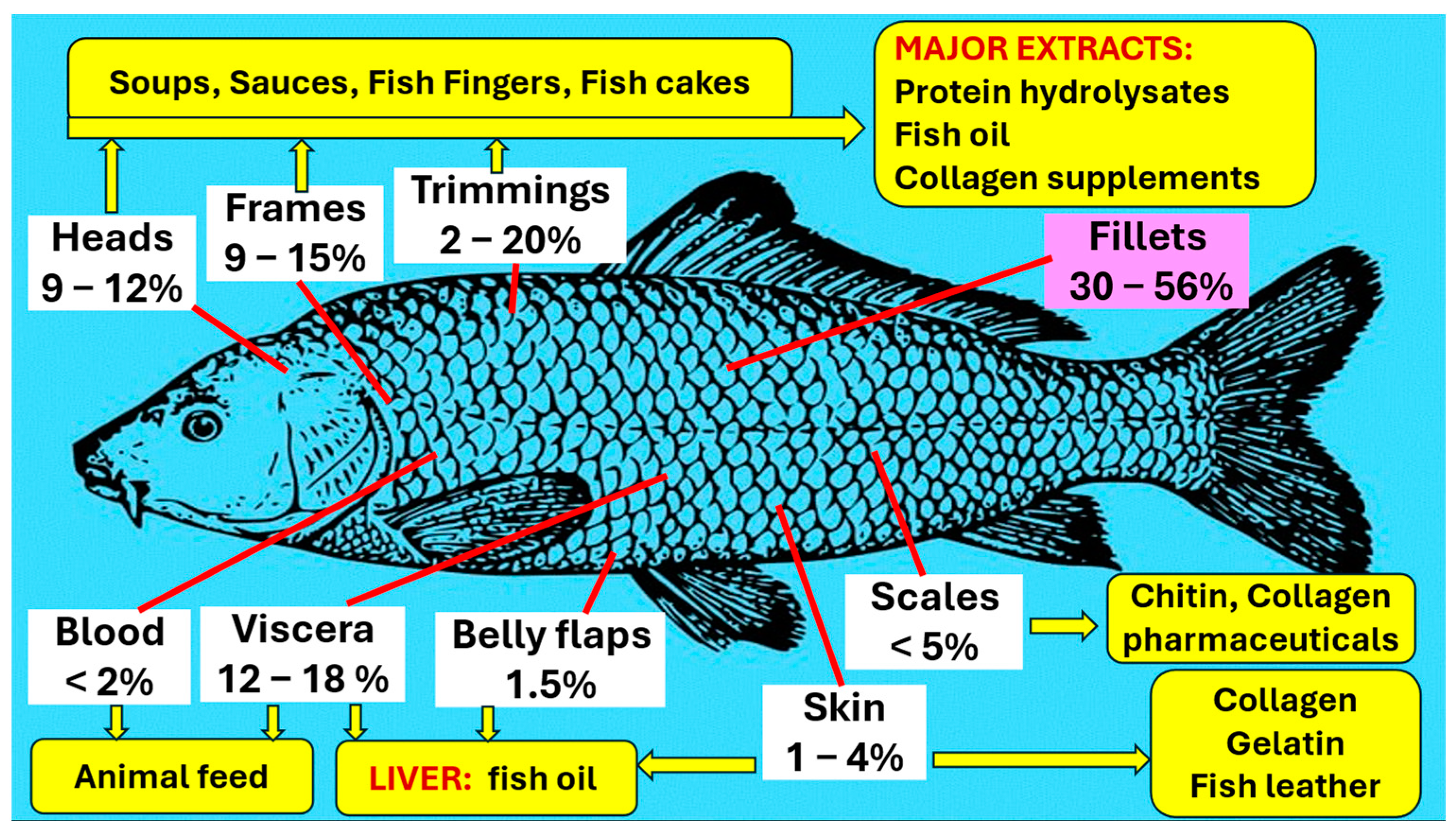 Fishes 09 00146 g005