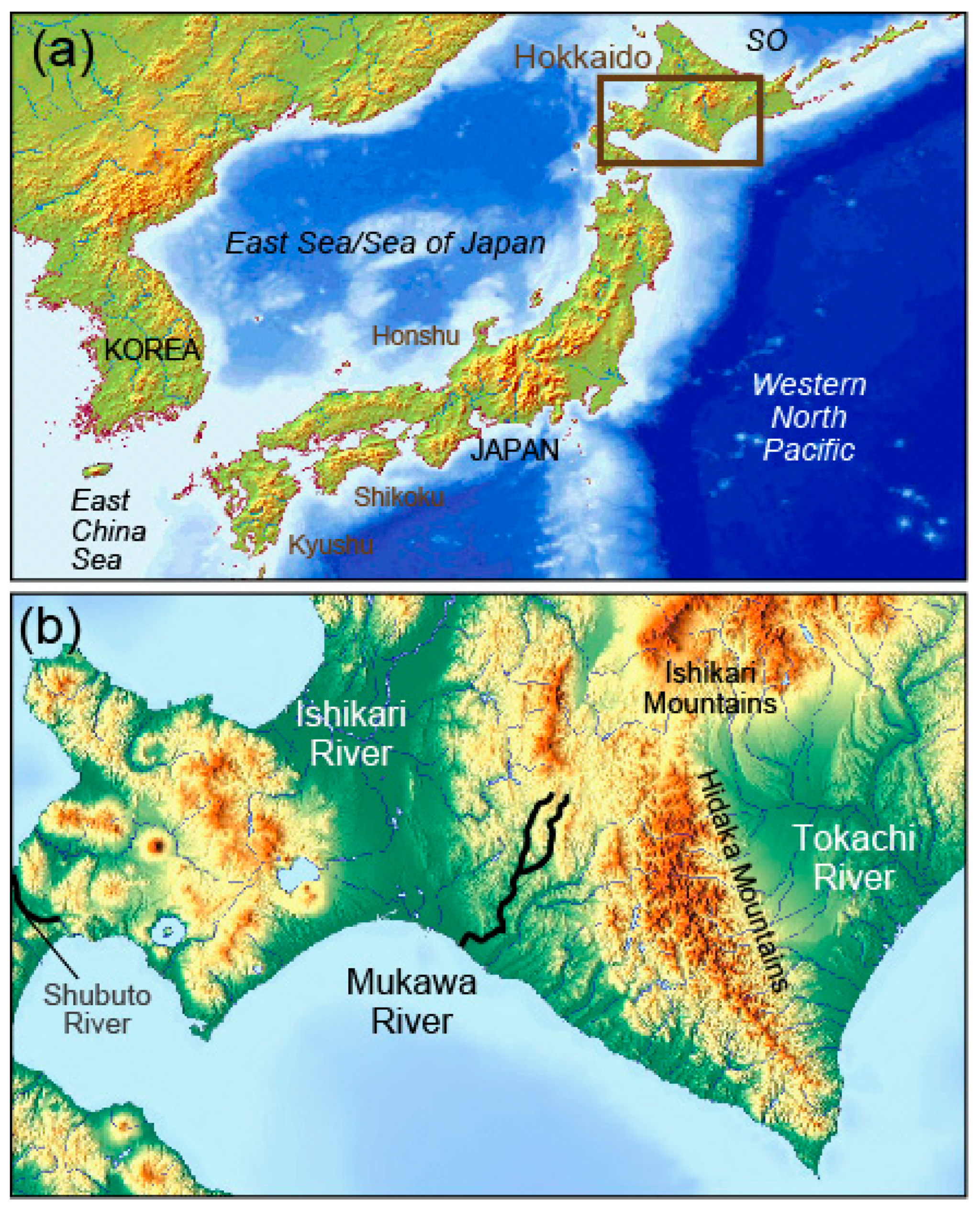 Fishes 09 00147 g001 Fishes 09 00147 g001