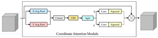 Triple Attention Mechanism with YOLOv5s for Fish Detection