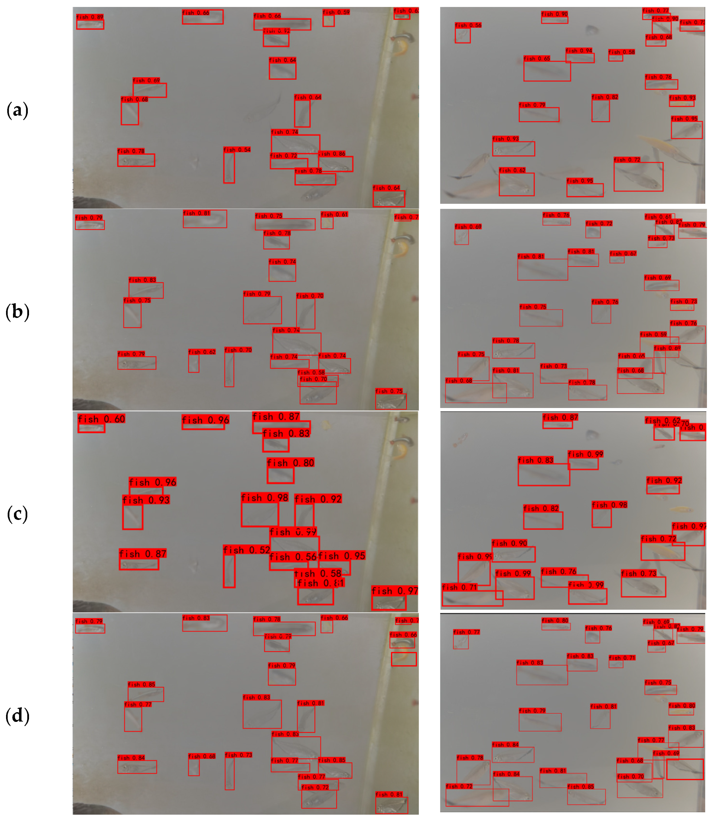 Fishes 09 00151 g010