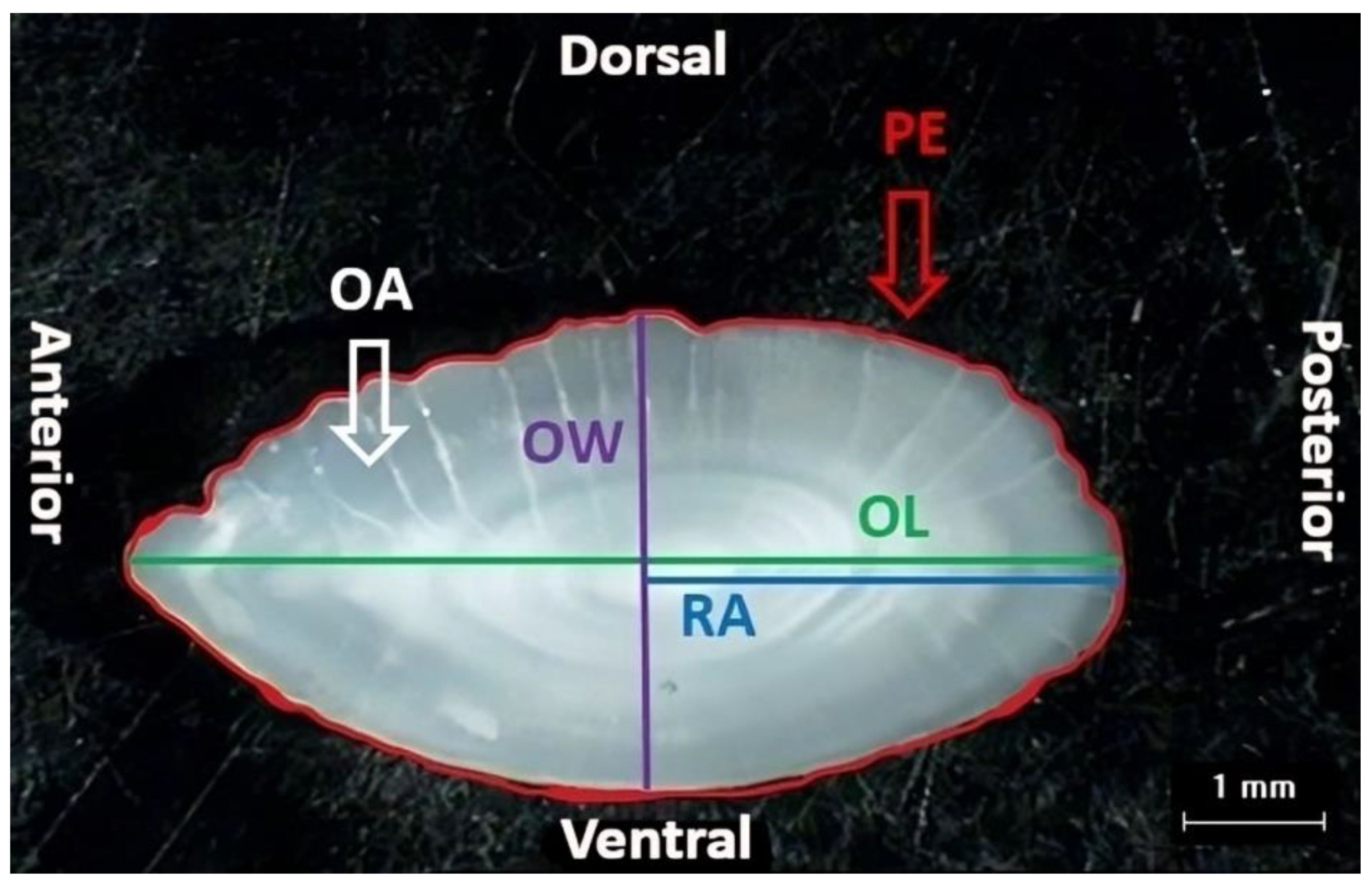 Fishes 09 00152 g002