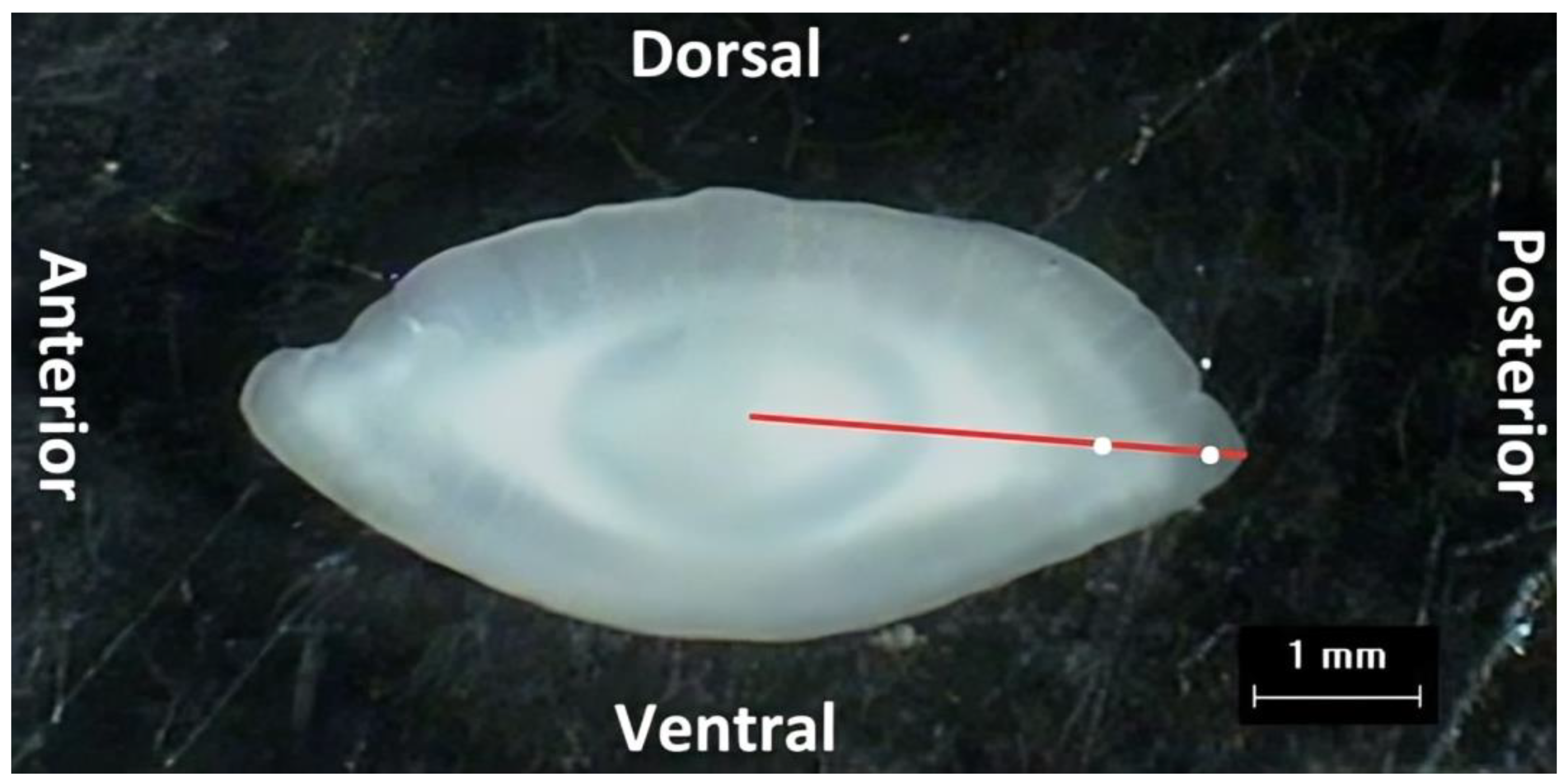 Fishes 09 00152 g004