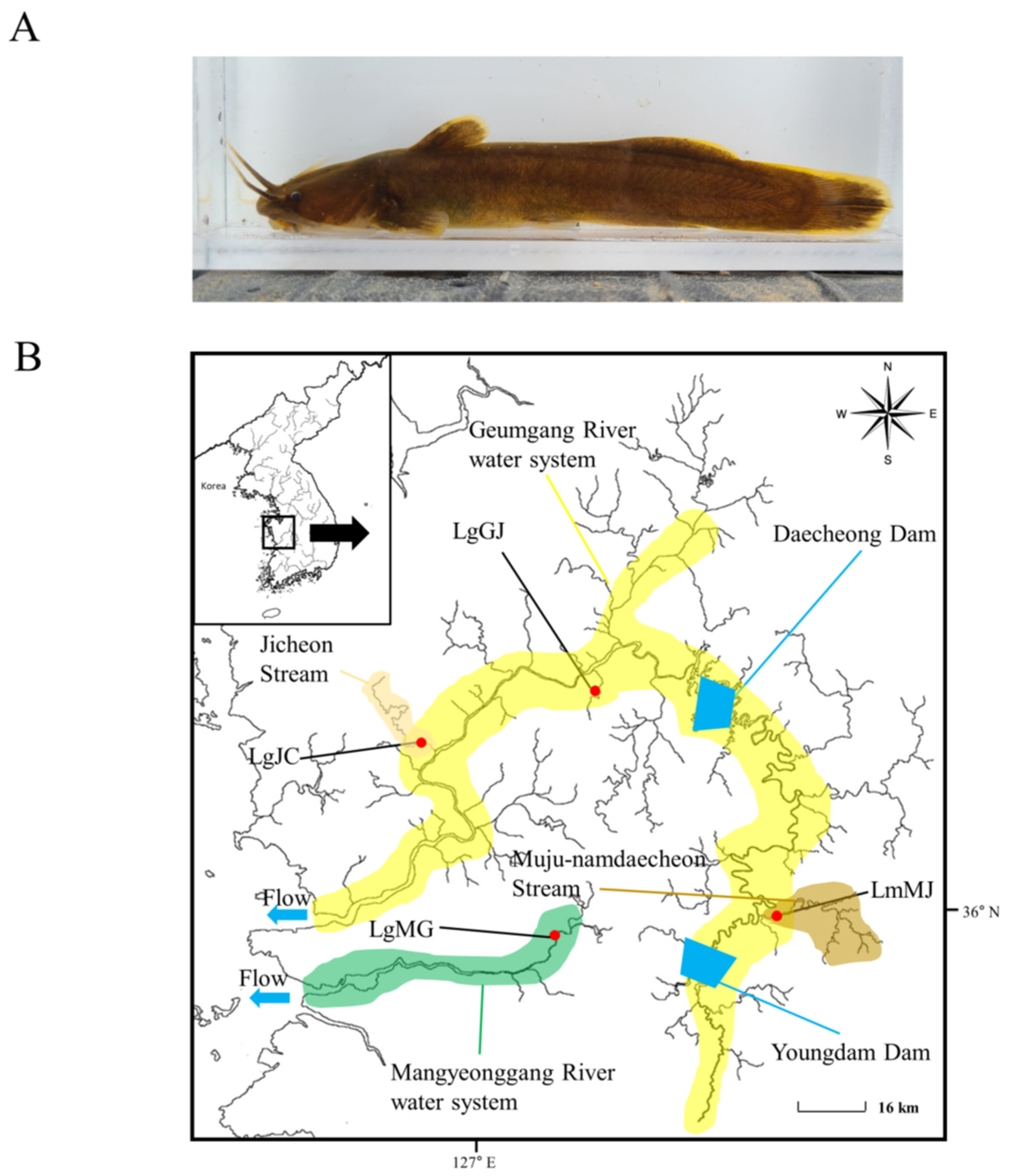 Fishes 09 00153 g001