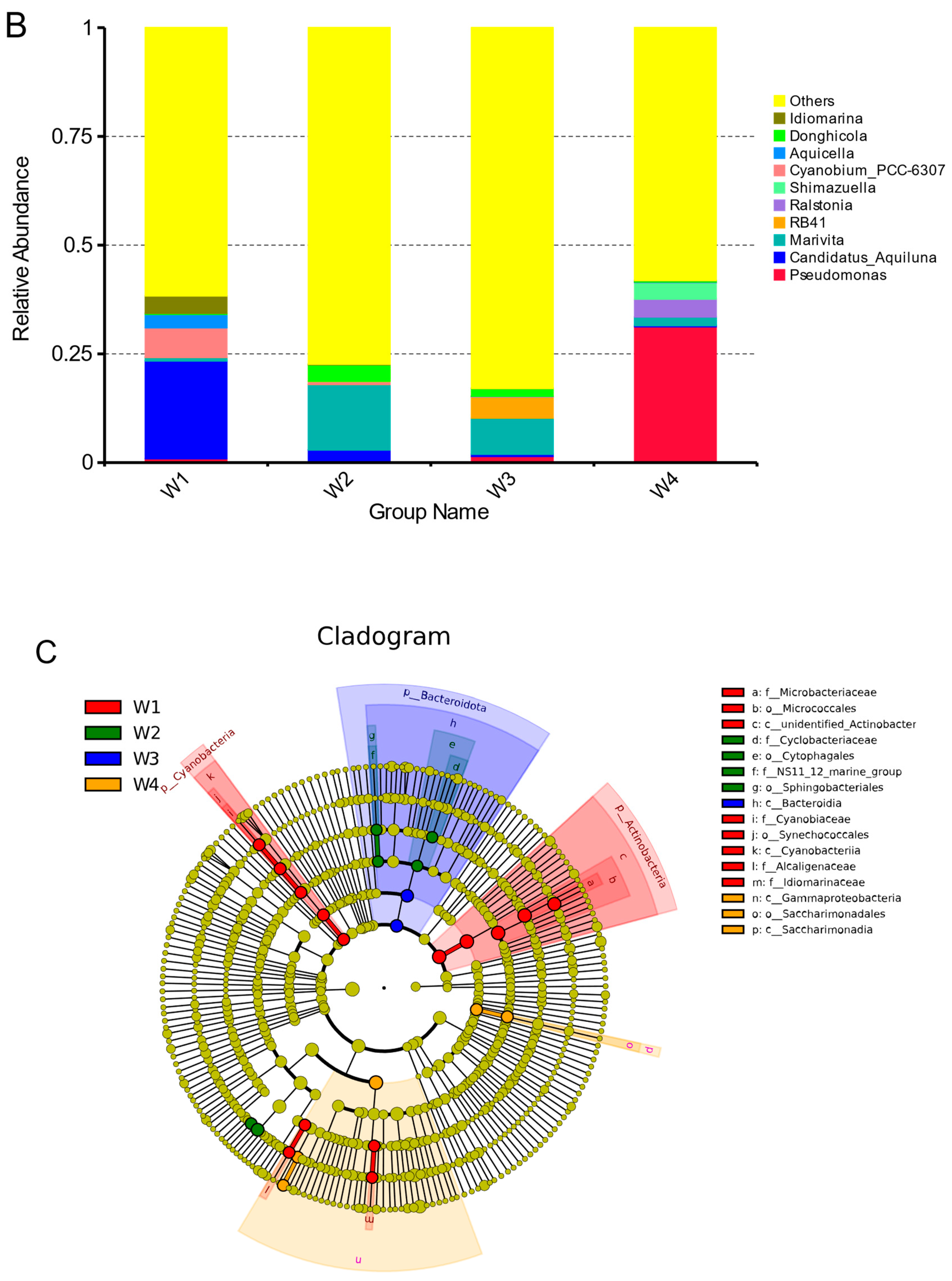 Fishes 09 00155 g003b