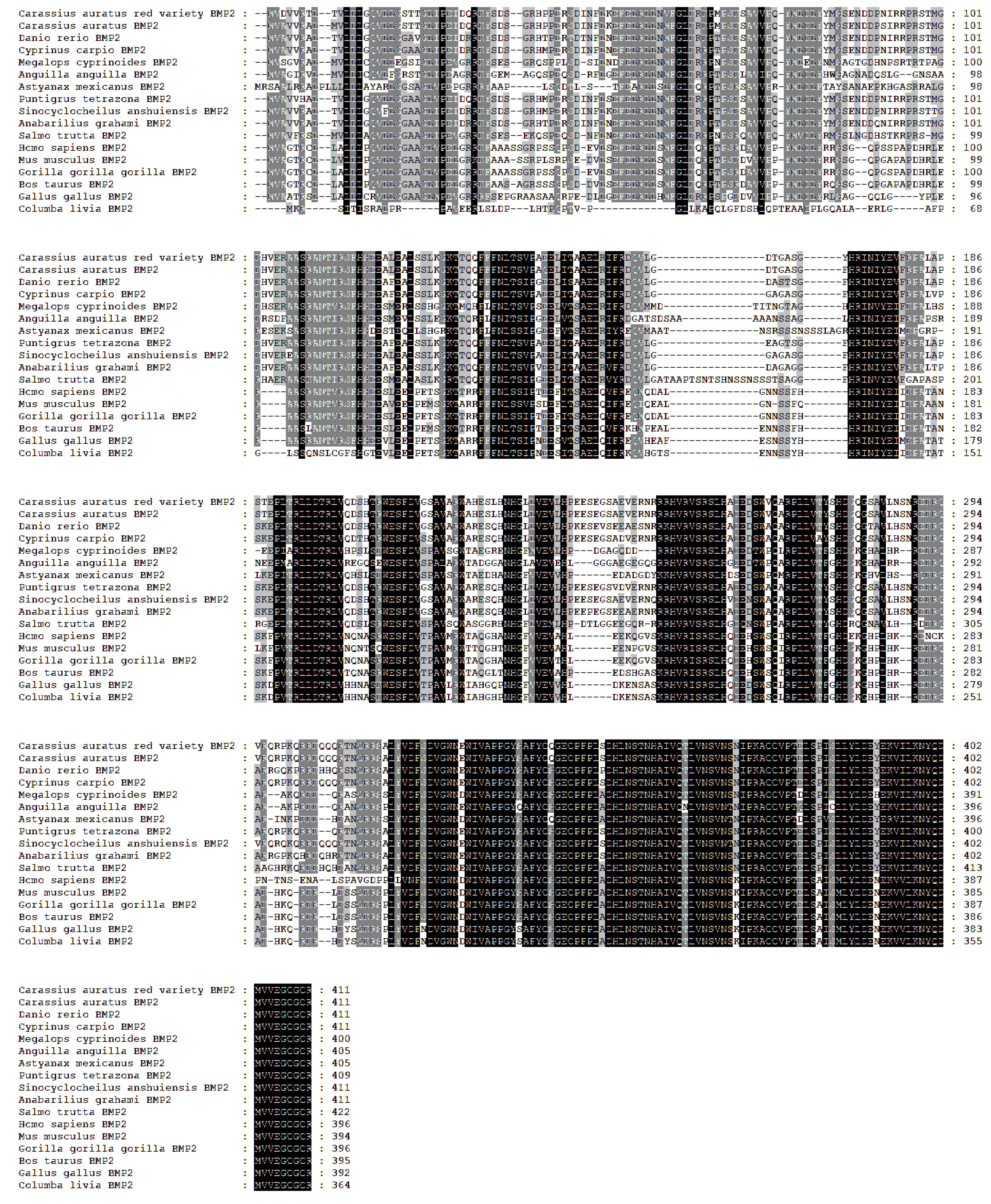 Fishes 09 00159 g003