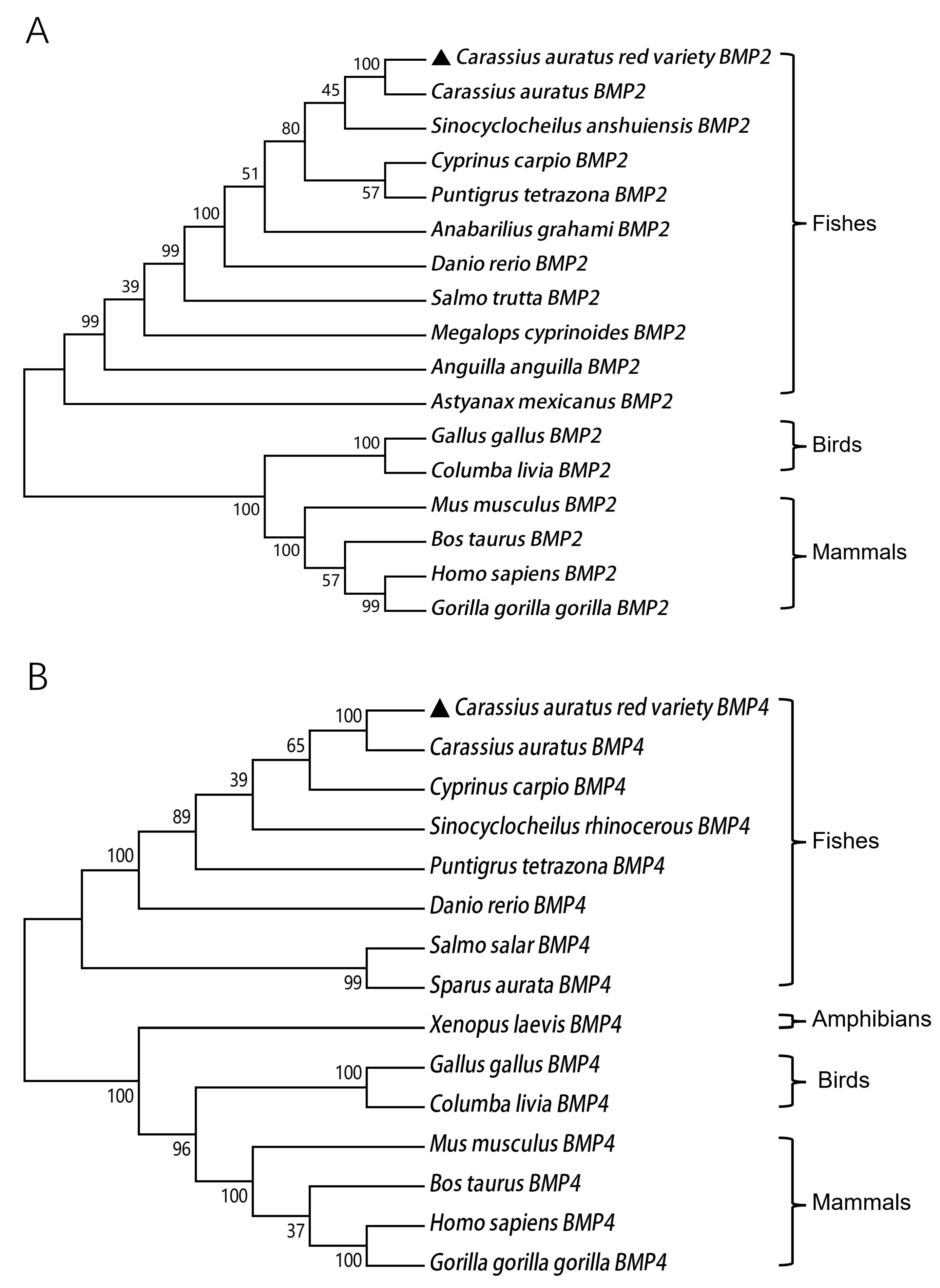 Fishes 09 00159 g005