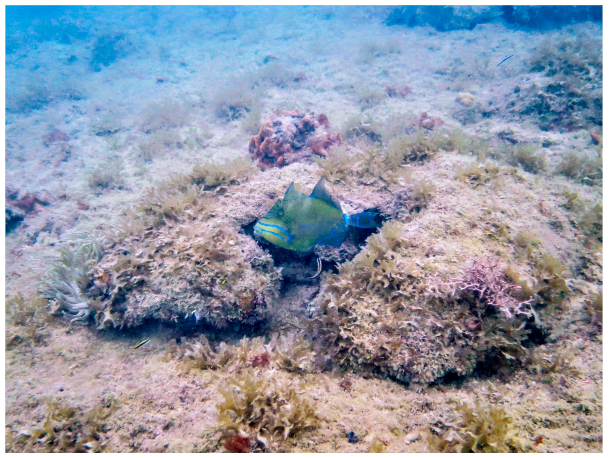 Fishes 09 00162 g006