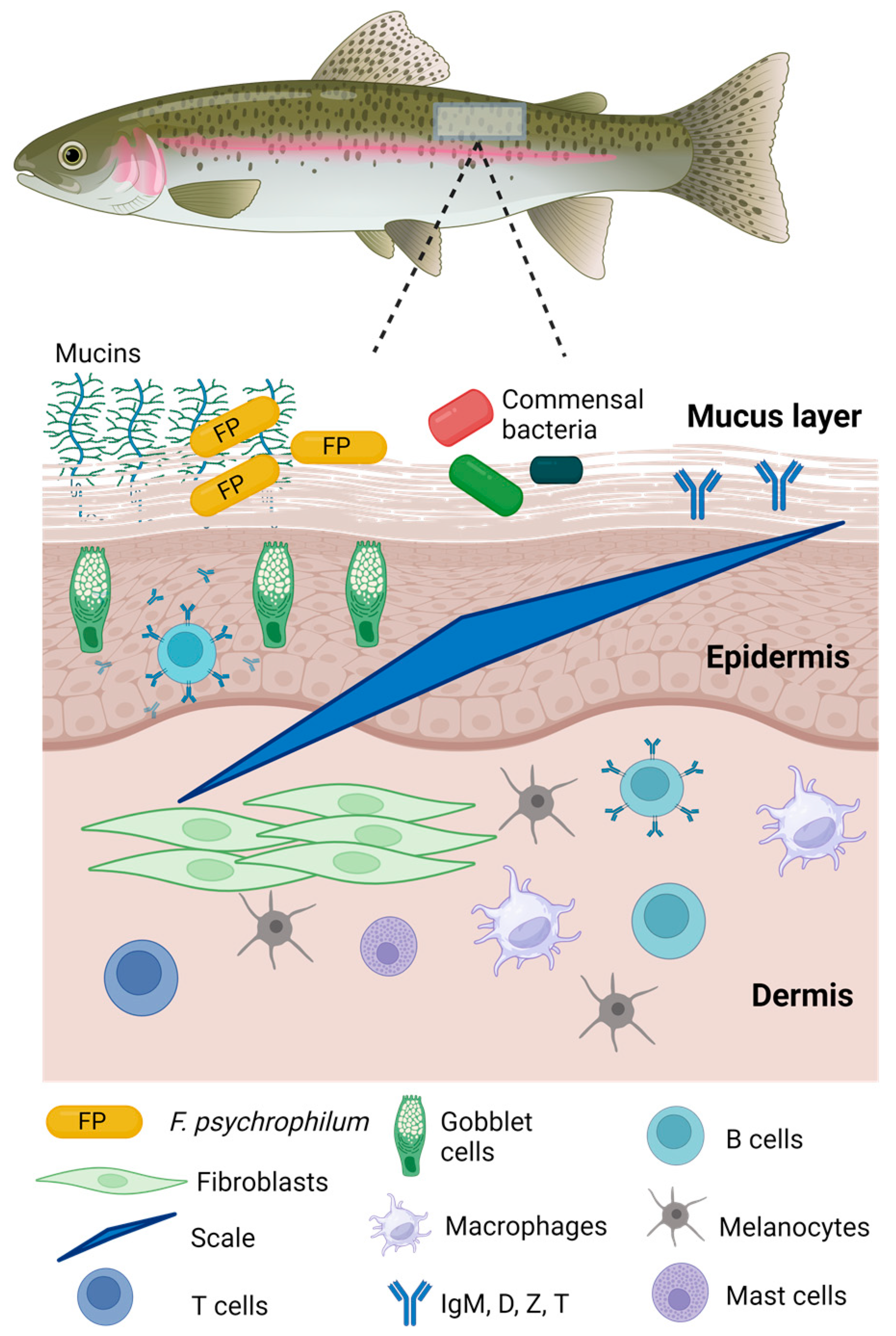 Fishes 09 00163 g003