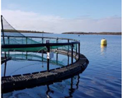 Fishes 09 00165 i001