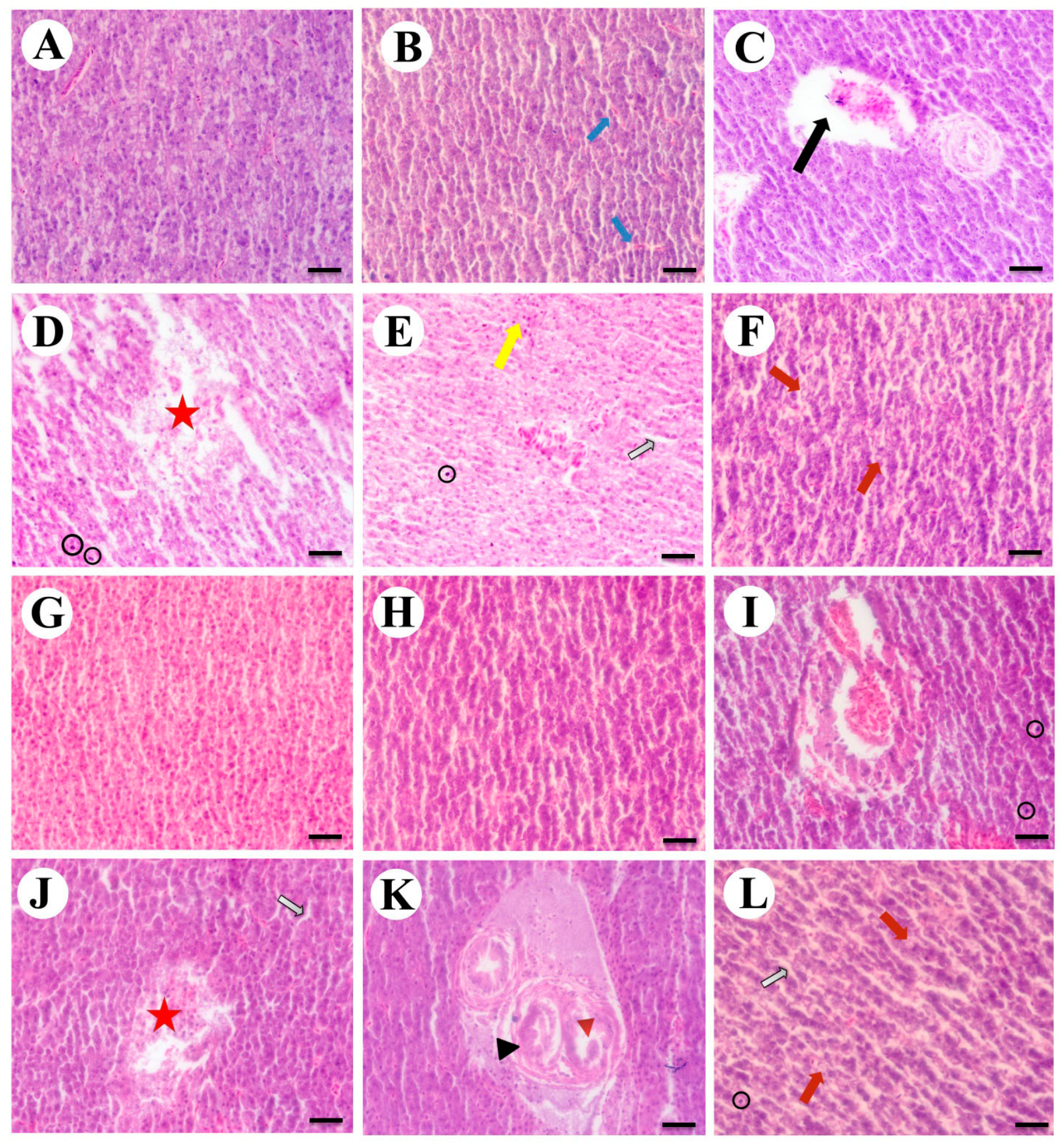 Fishes 09 00168 g001