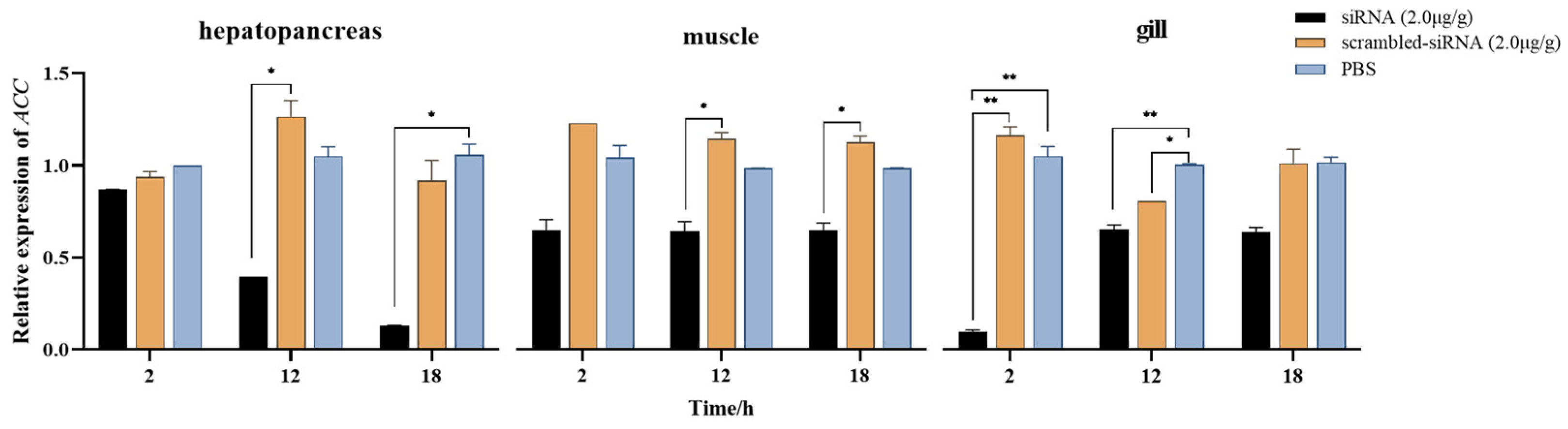 Effects of RNA Interference with Acetyl-CoA Carboxylase Gene