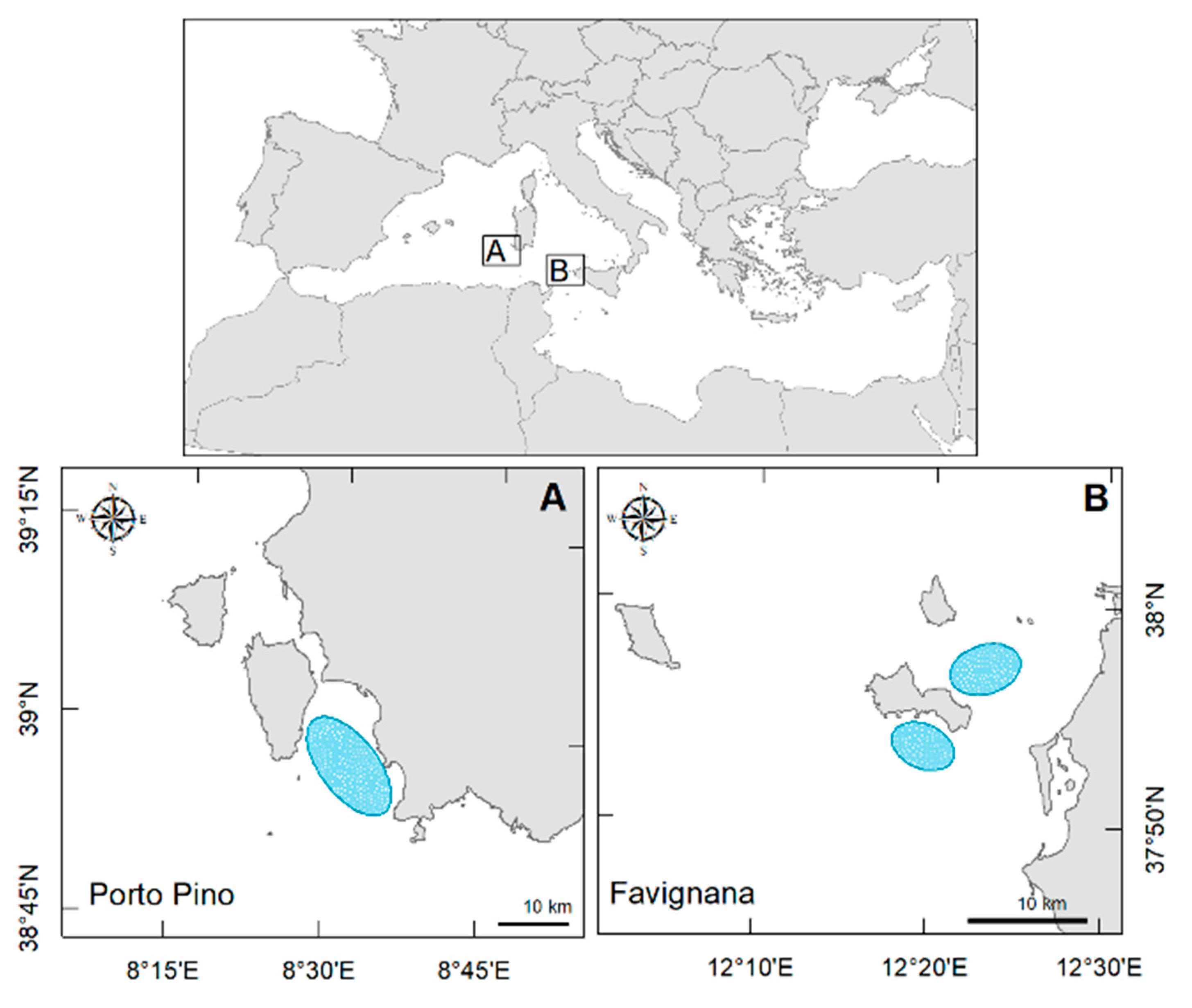 Fishes 09 00171 g001