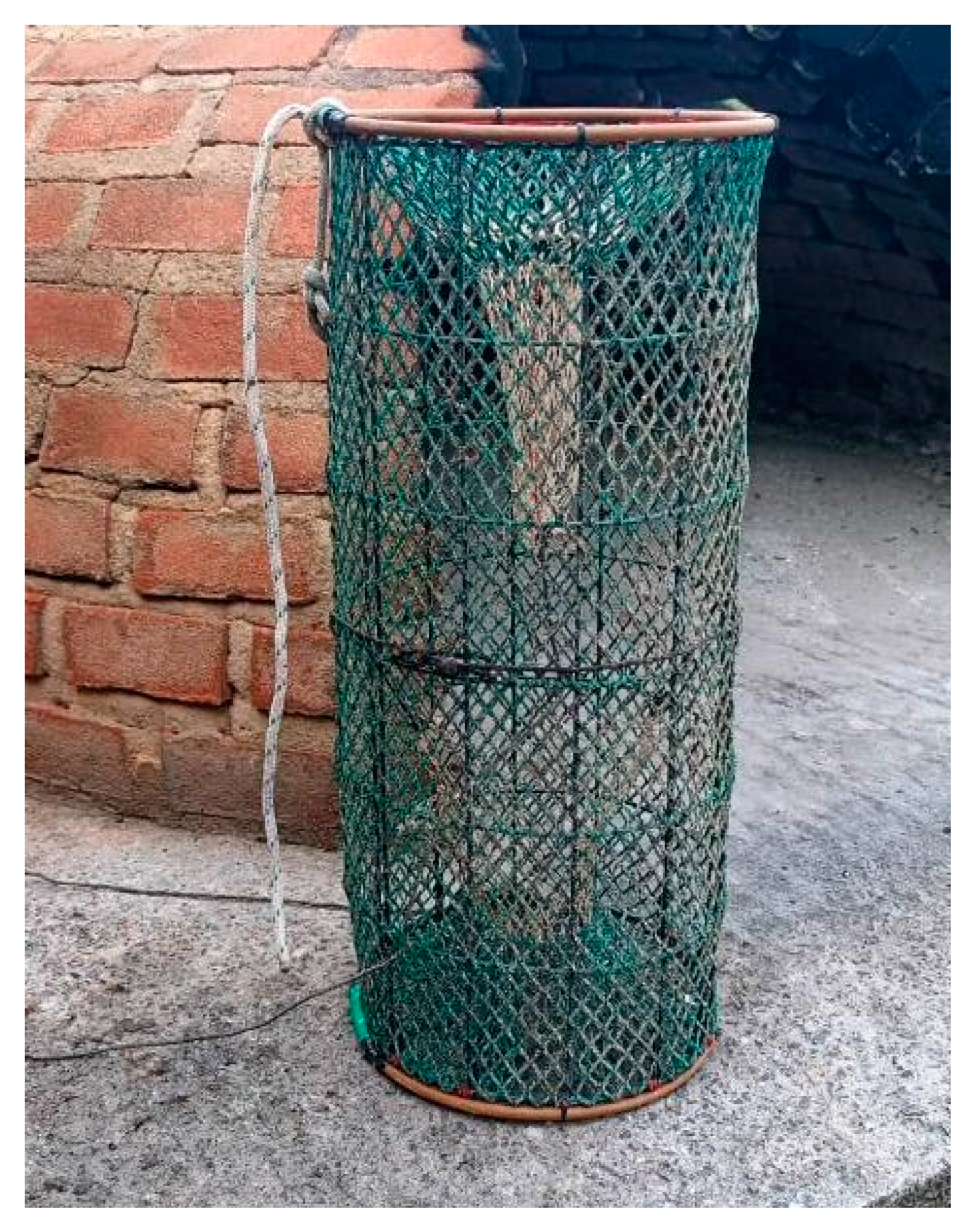 Fishes 09 00171 g003