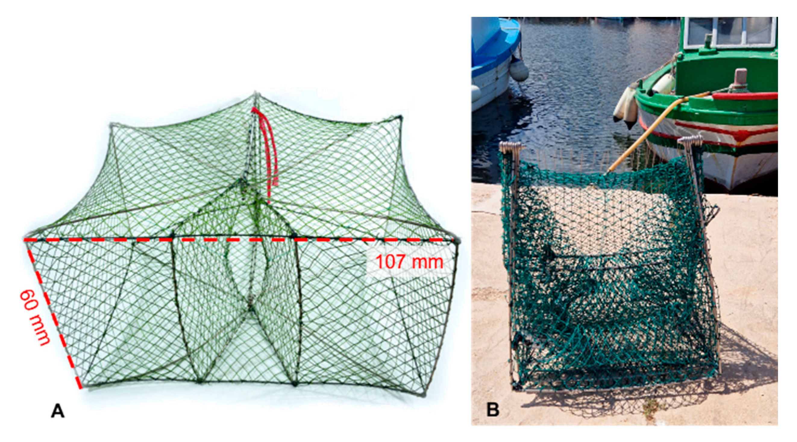 Fishes 09 00171 g004