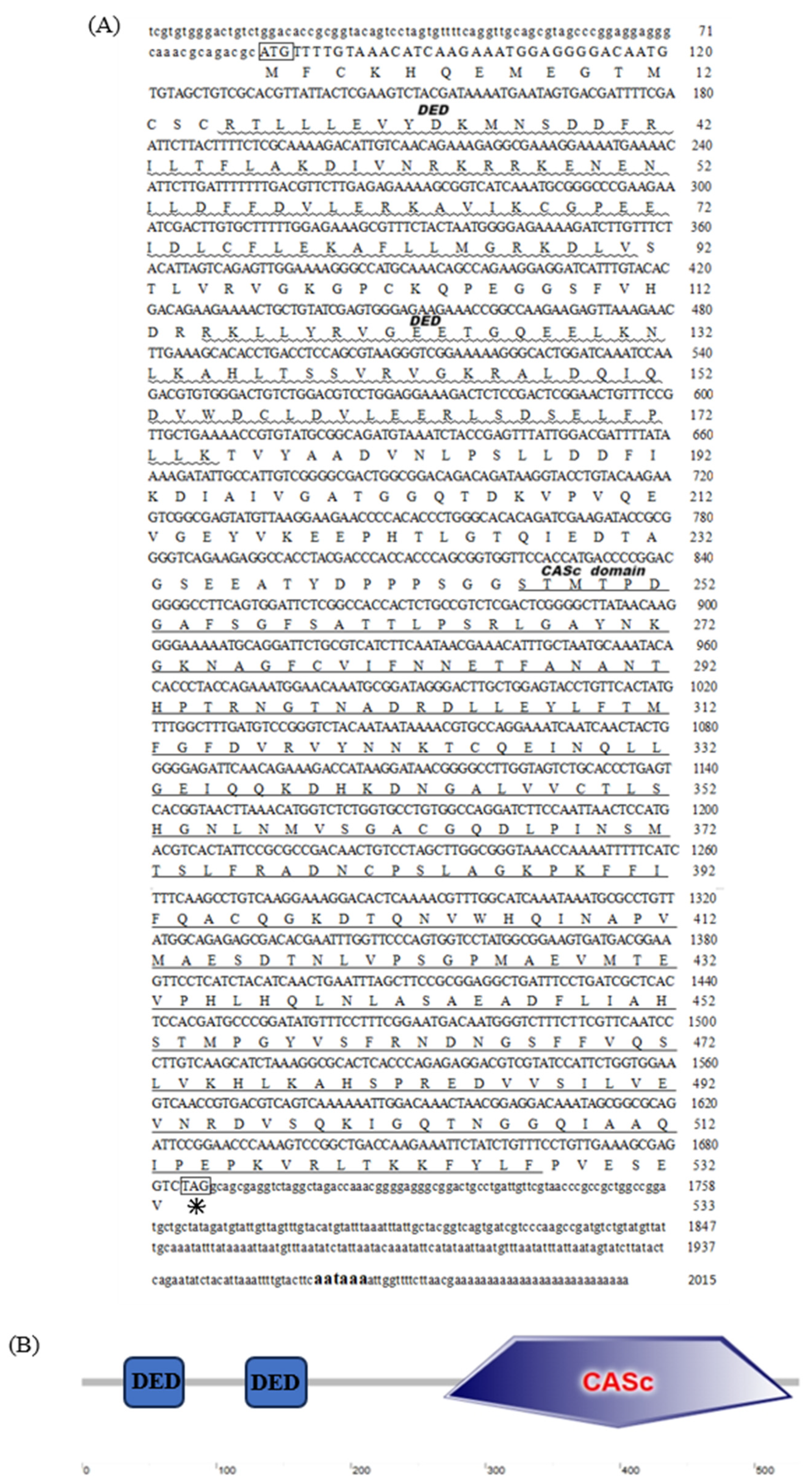 Fishes 09 00172 g001