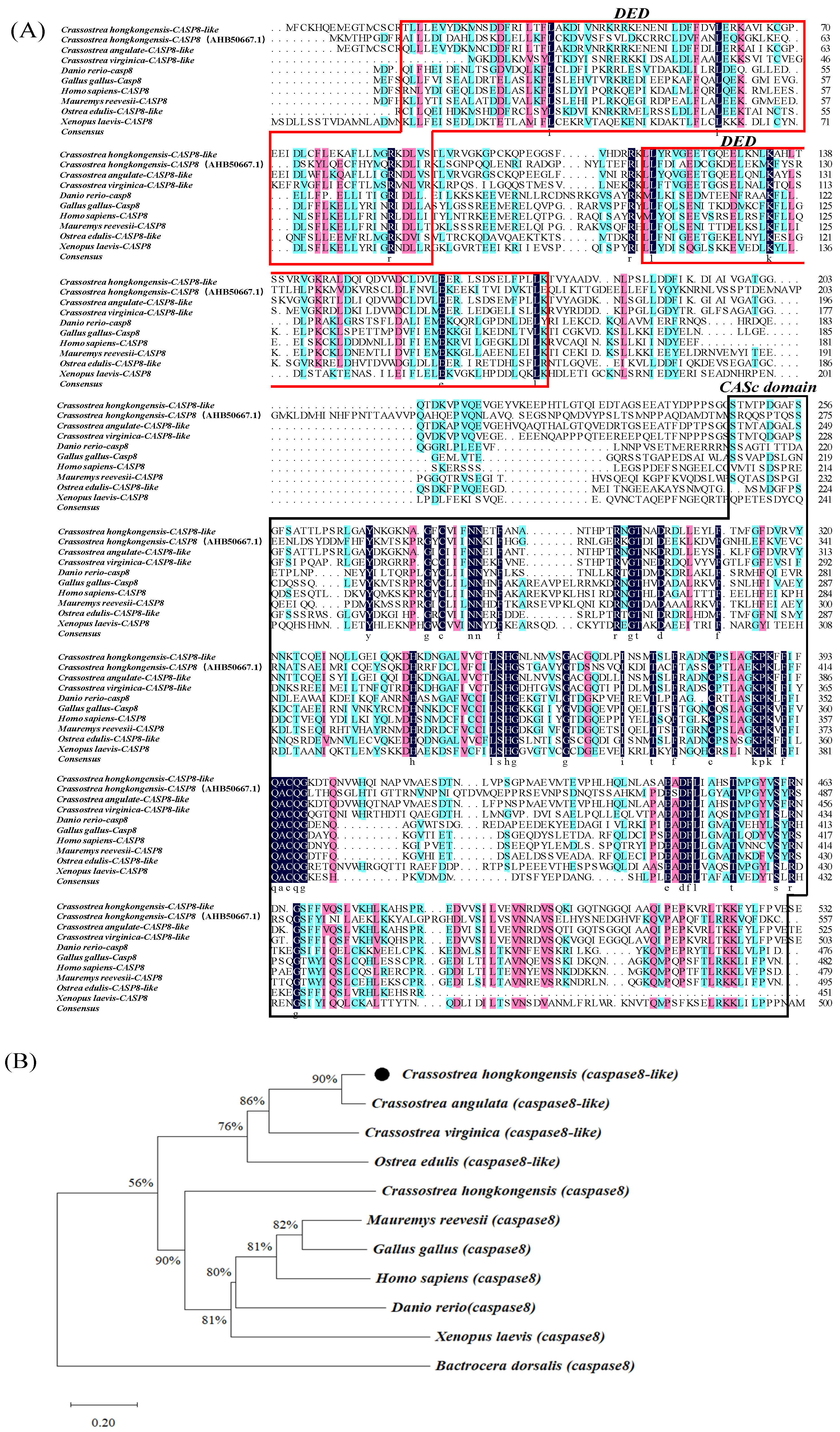 Fishes 09 00172 g002