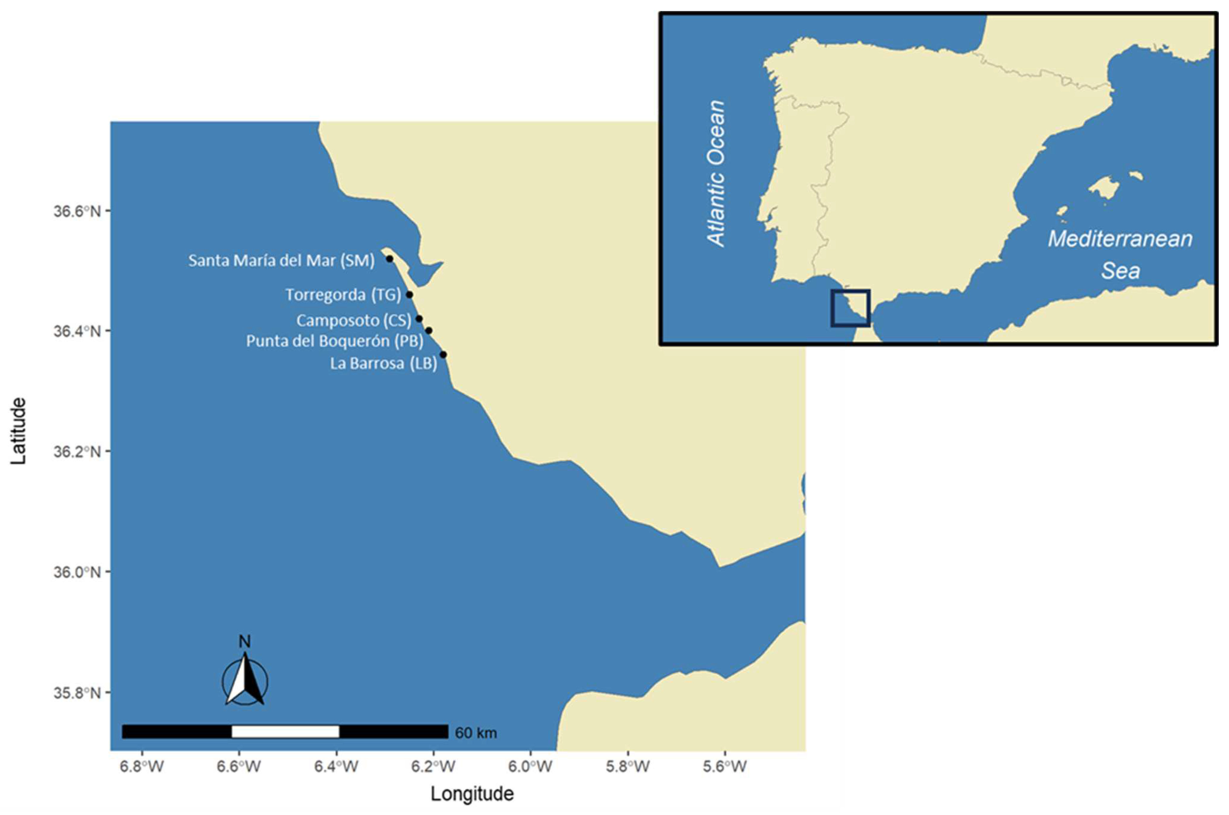 Fishes 09 00173 g001